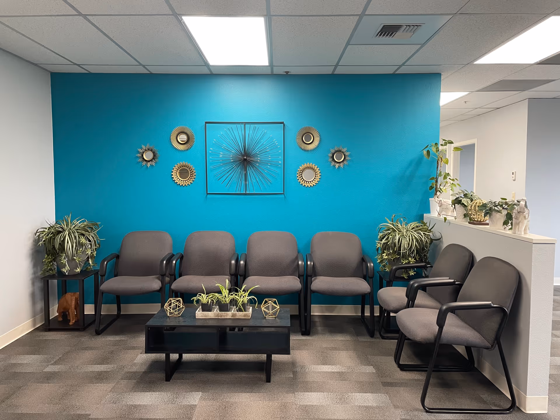 Bright teal-walled waiting area with gray chairs, plants, and decorative wall art.