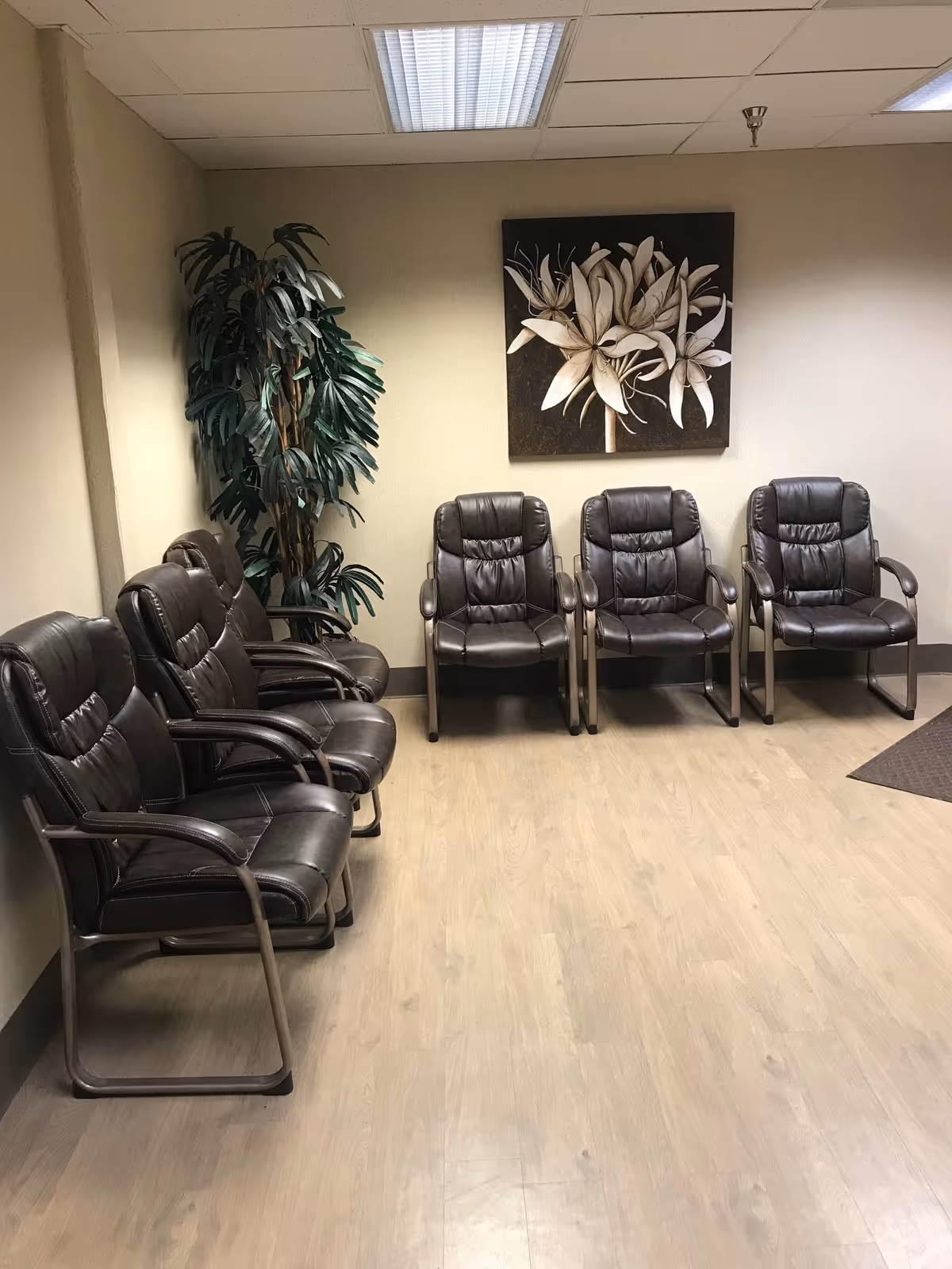 Waiting room with black leather chairs, potted plant, and a flower painting.