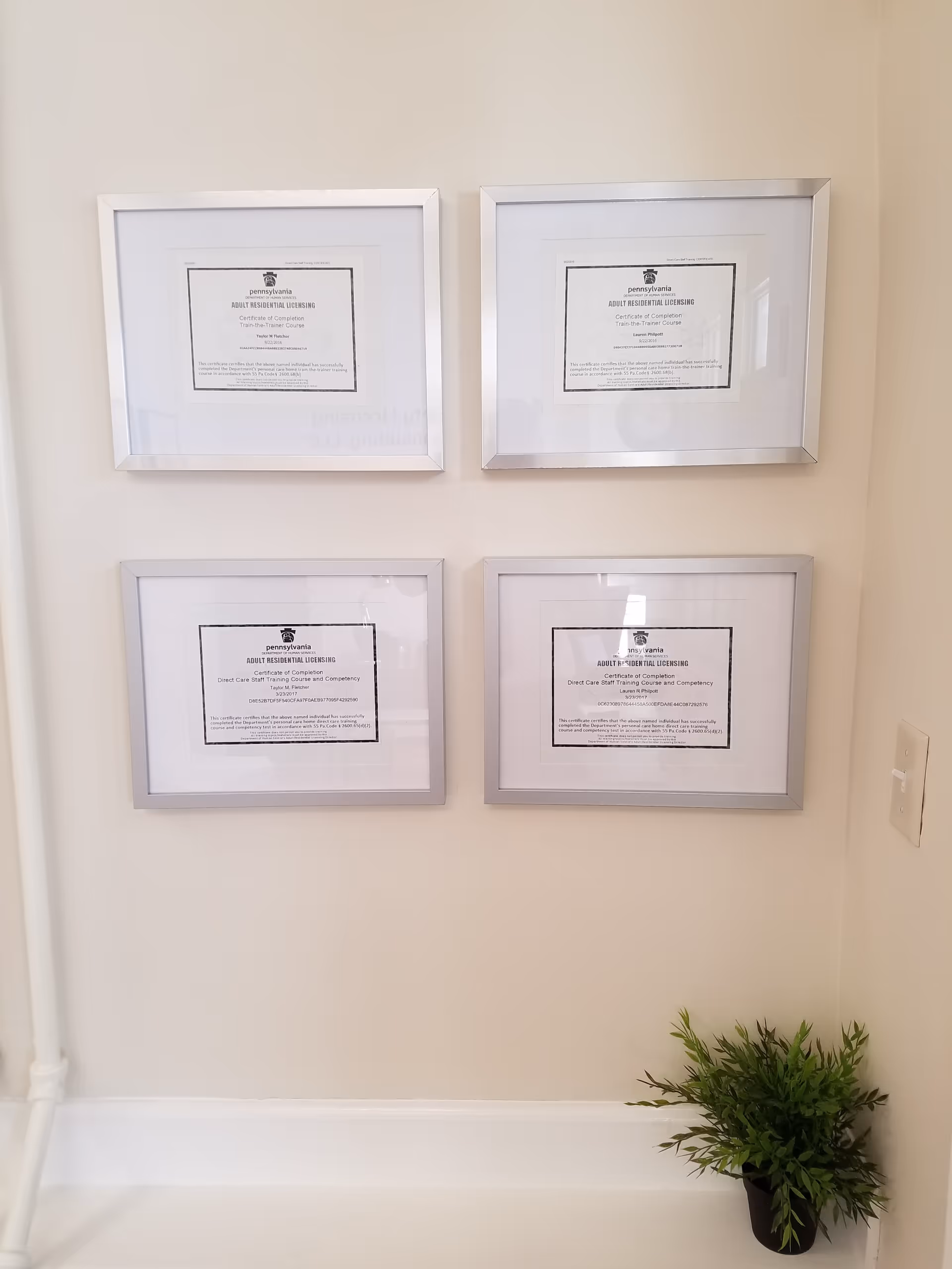 Four framed certificates on the wall with a small potted plant in the corner.