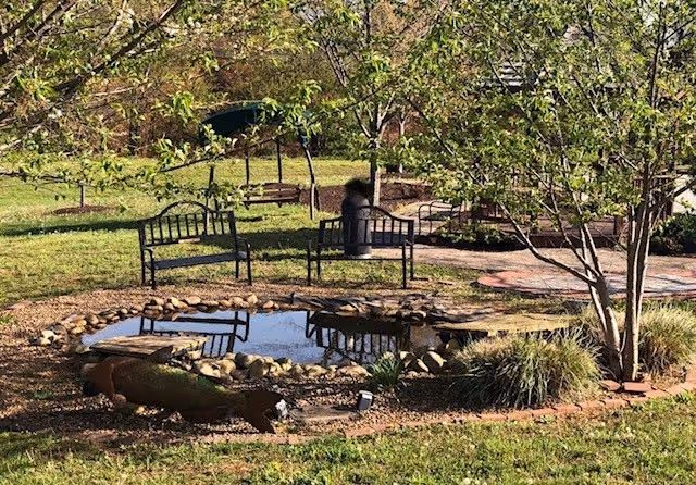 Outdoor garden with benches, a small pond, trees, and a walking path.