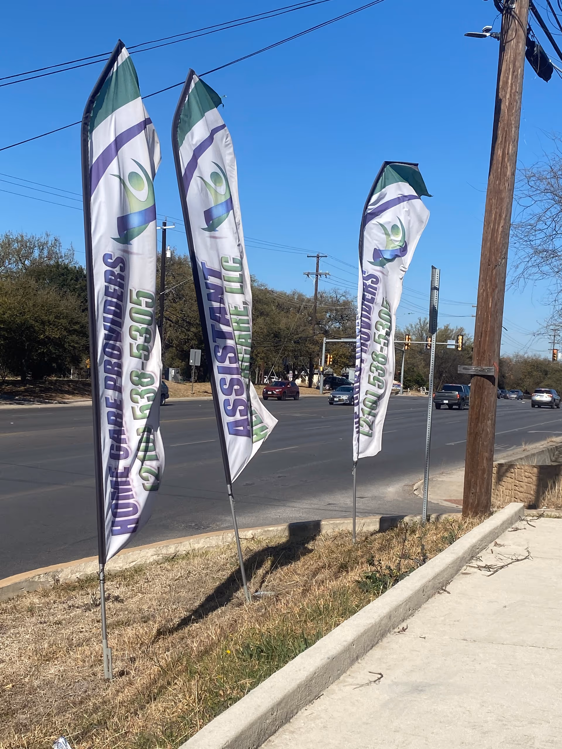 Three tall white flags with green and purple logos line a sidewalk beside a street