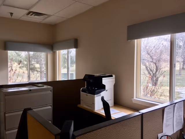 Office cubicle with a printer on a desk by windows and beige walls.