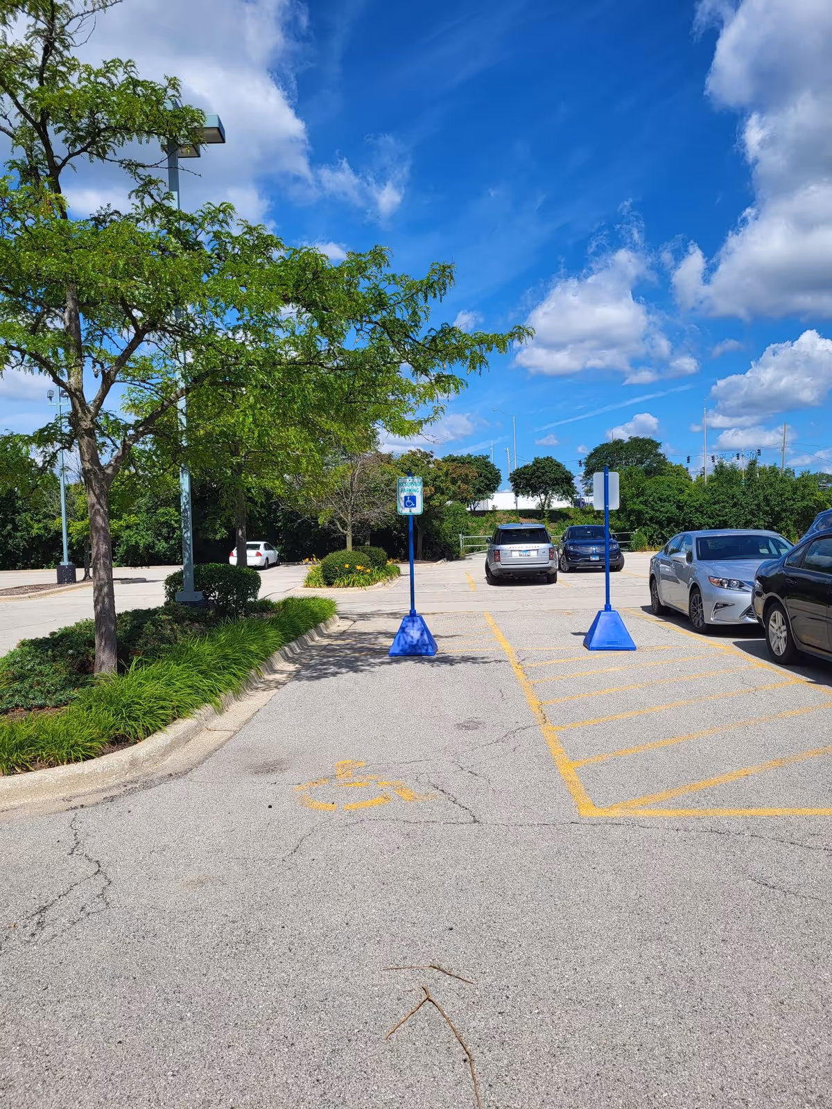 Clear sunny parking lot with handicap signs, blue sky, trees, and parked cars near a facility.