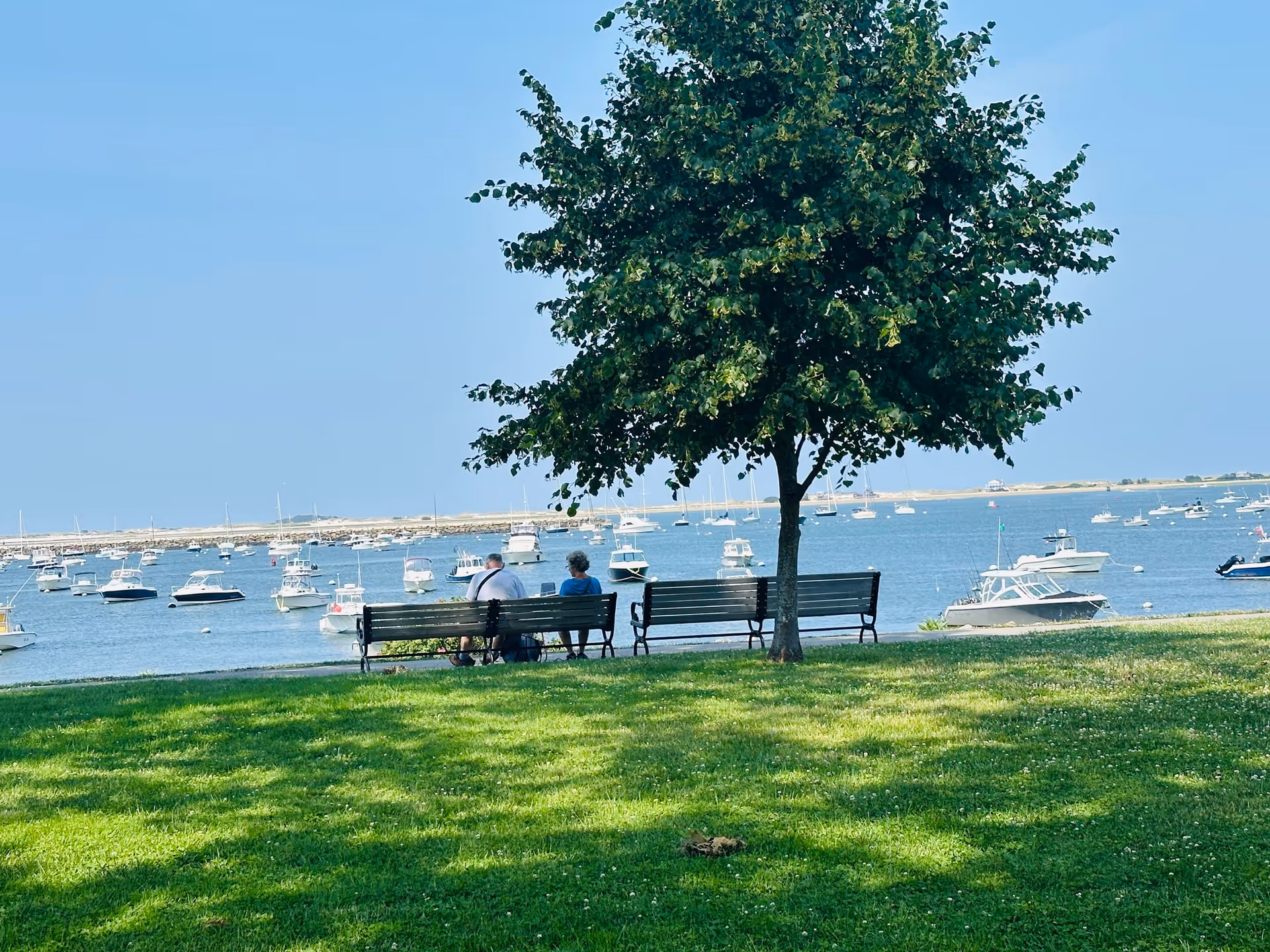 Two people sit on a bench under a tree by the water with boats.