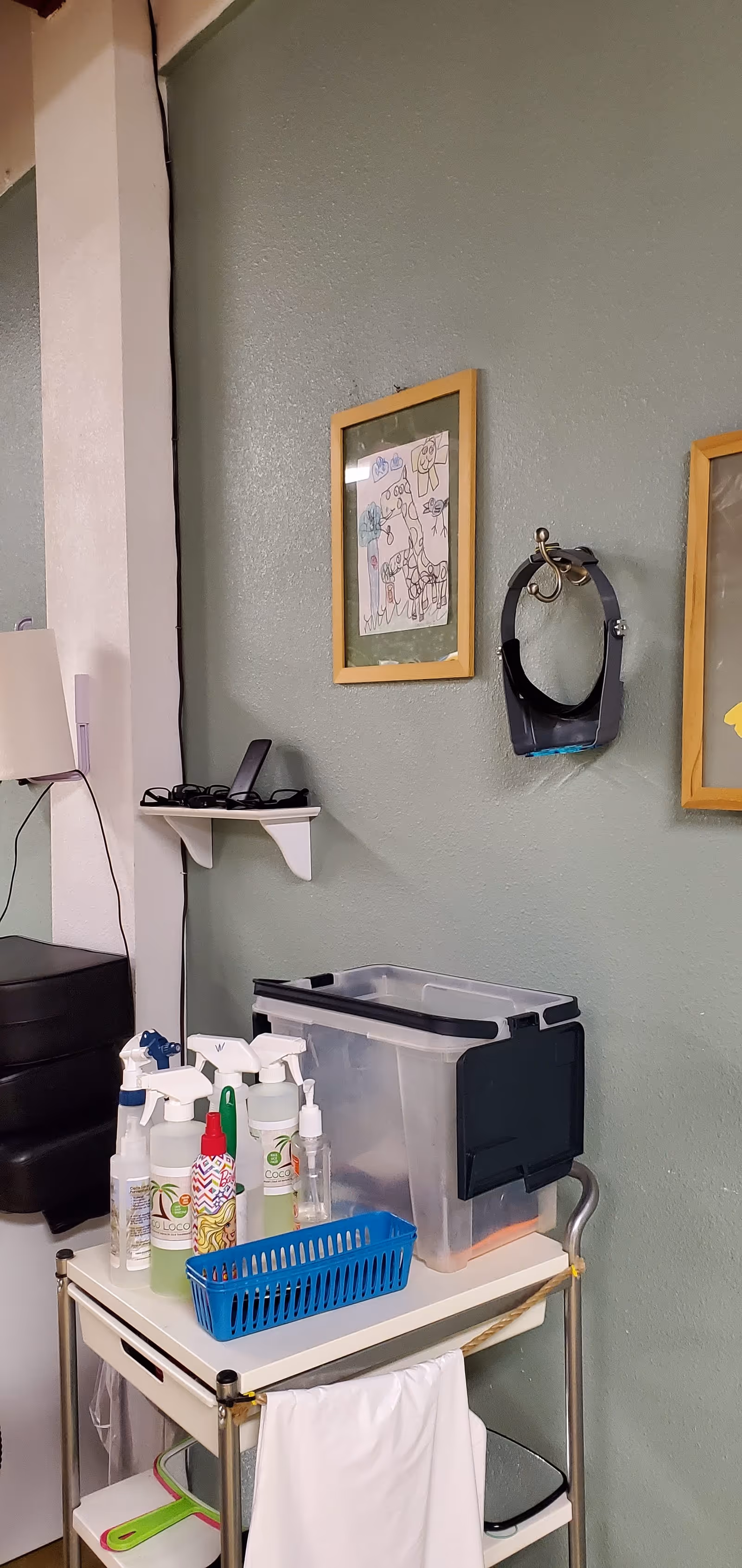 Cleaning cart with spray bottles beside framed art on a pale green wall.