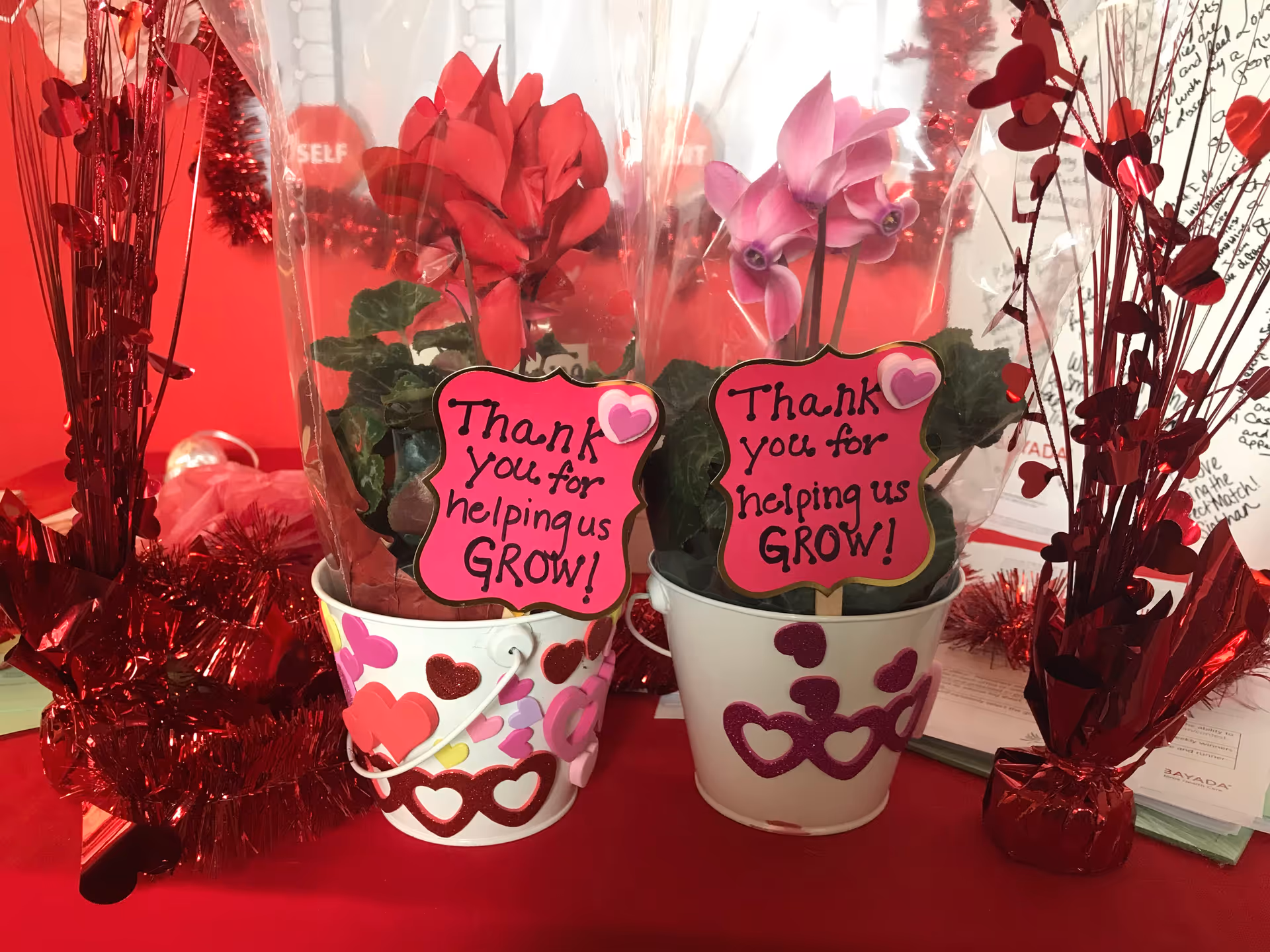 Two potted arrangements with heart decorations and Thank you for helping us grow signs.