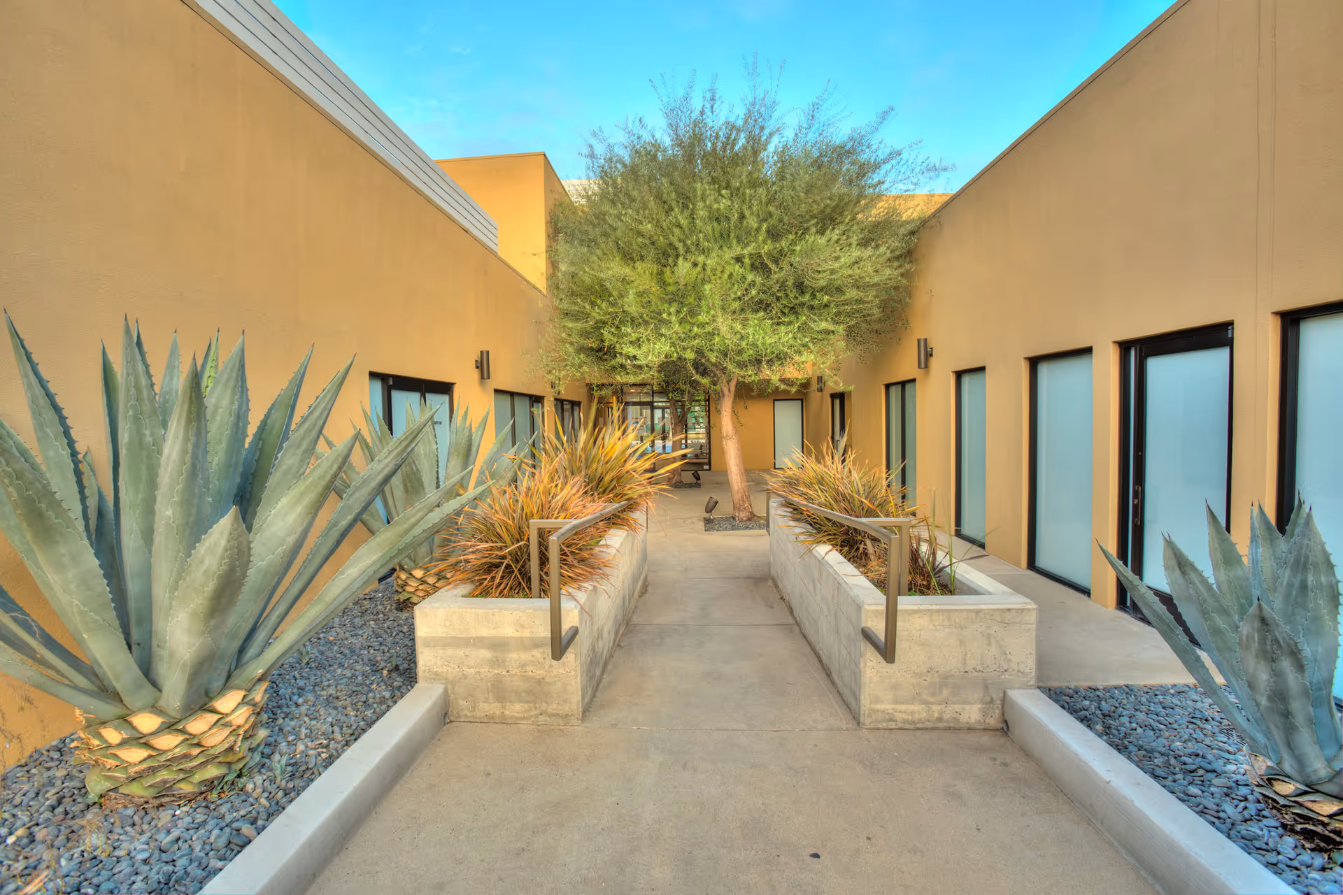 Symmetrical walkway between beige building walls with desert plants and a central tree.