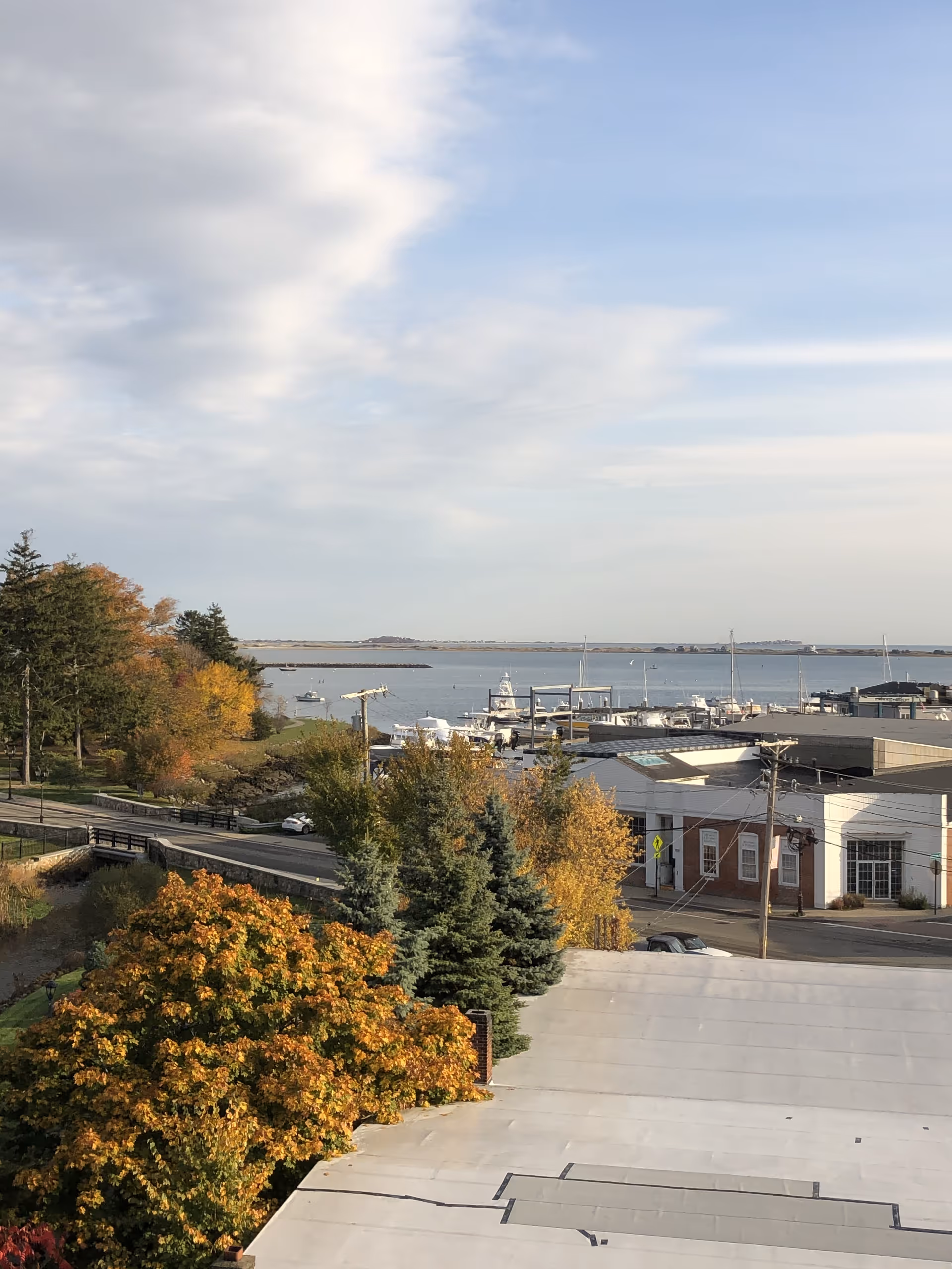 Exterior view of a waterfront town with autumn trees, boats, and rooftops under a blue sky.