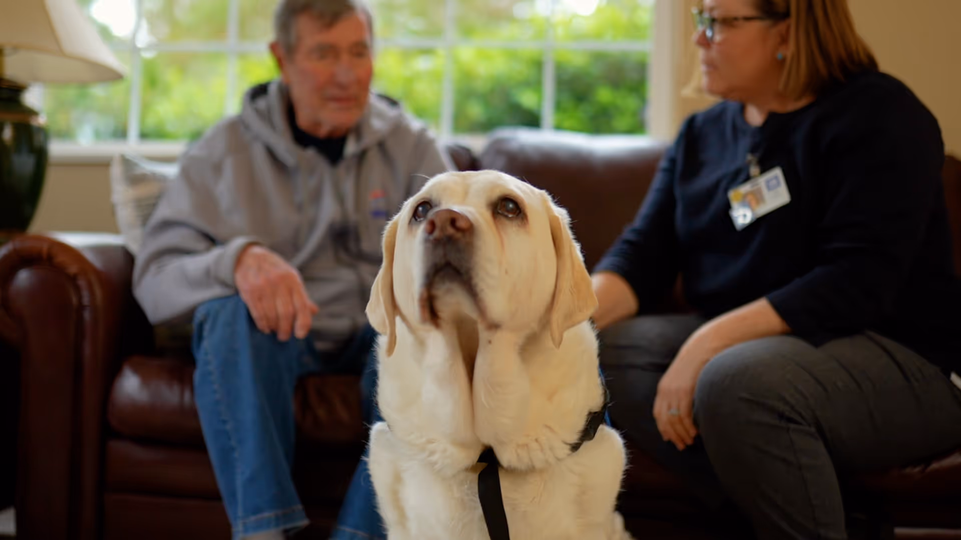 A dog sits before two people on a brown leather couch in a bright living room.
