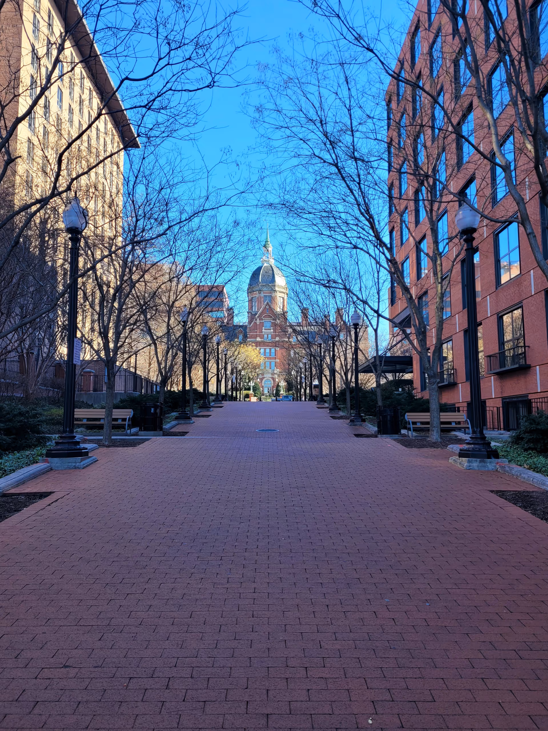 Brick-paved outdoor walkway lined with trees and lamps leads to a domed central building.