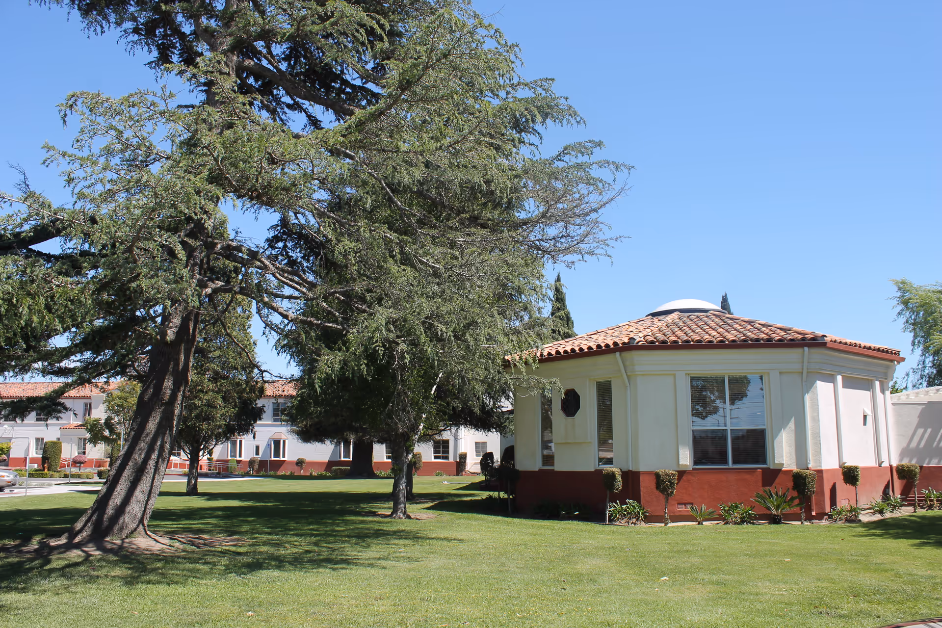 A manicured lawn with large trees beside a single-story building under a clear blue sky.