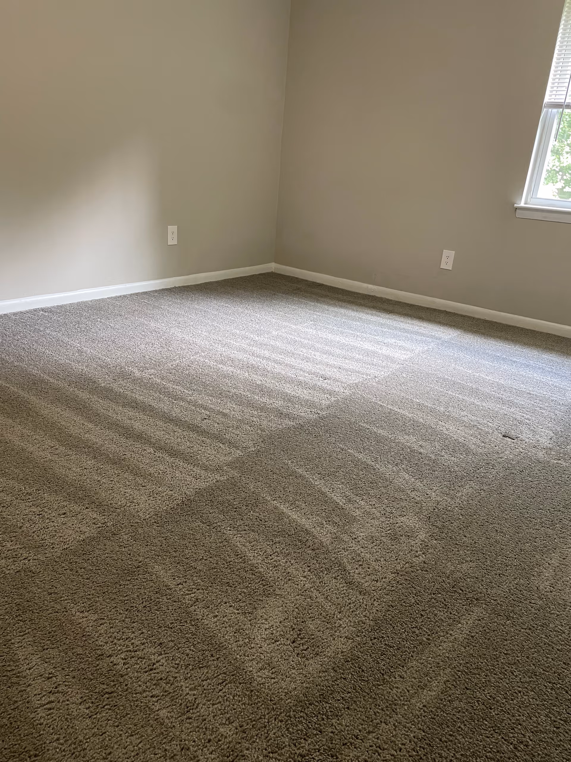 Bare empty room with carpet, light walls, and a window.