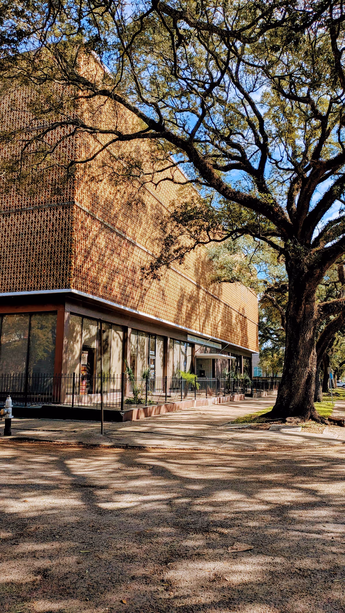 Exterior view of a brick senior living facility with a large tree and sidewalk.