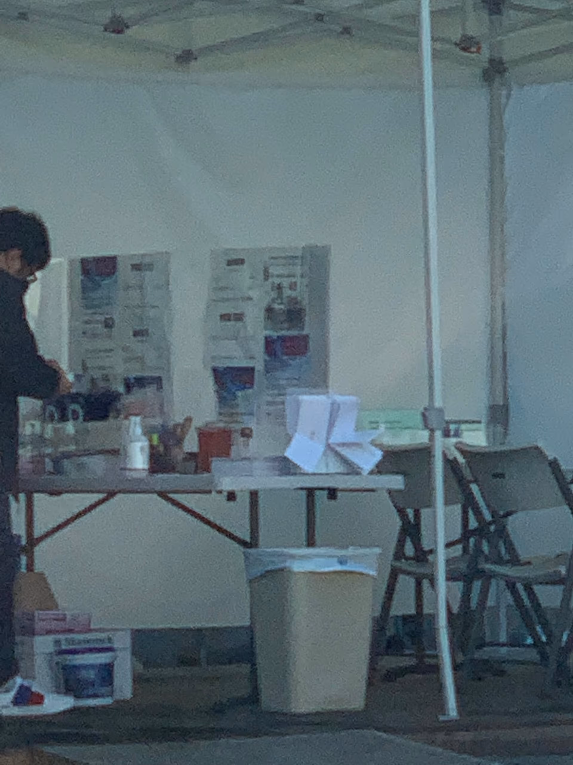 A person stands beside a table with posters under a white canopy.