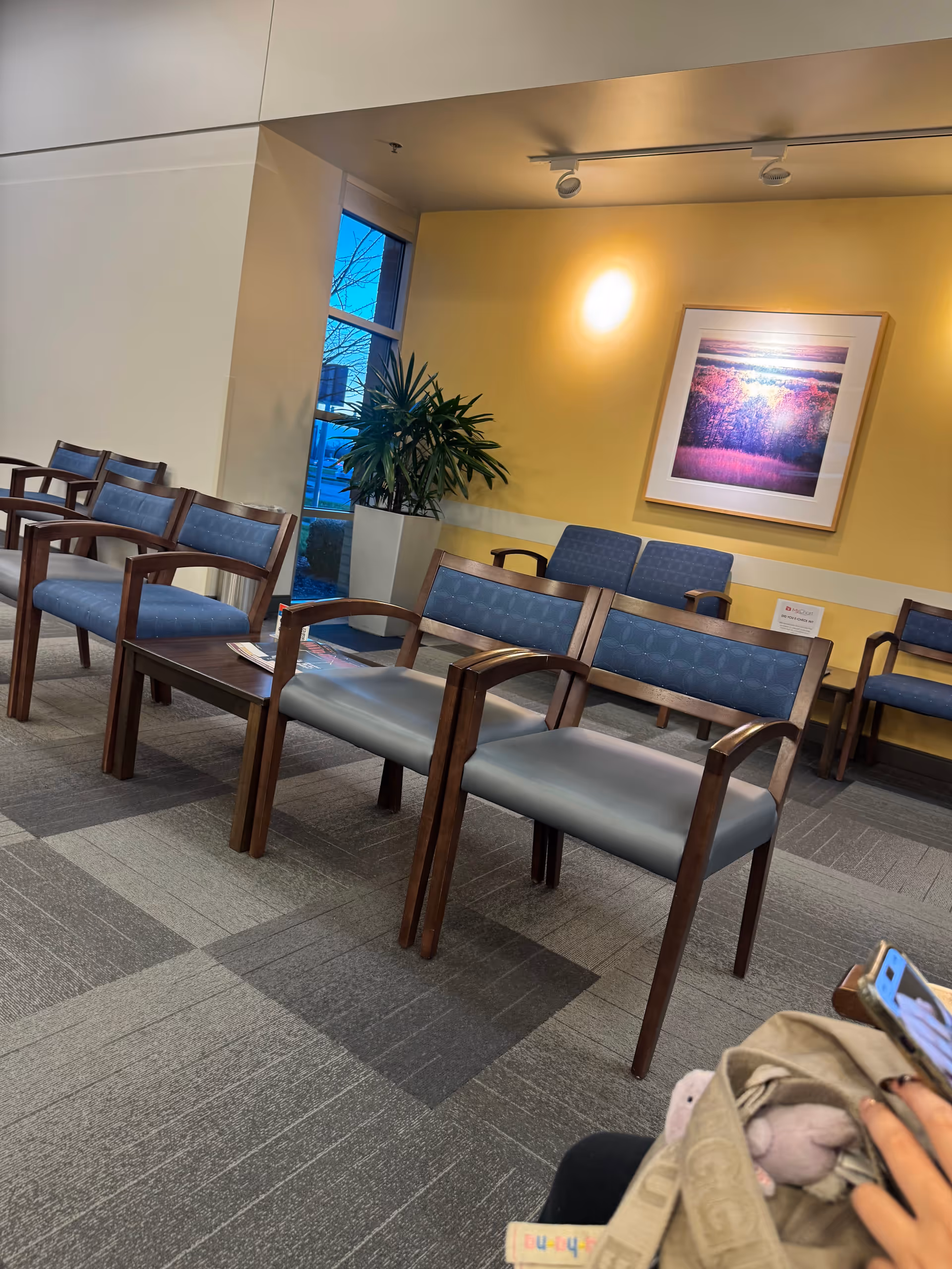 Waiting area with blue cushioned chairs, a plant, and framed artwork on a yellow wall.