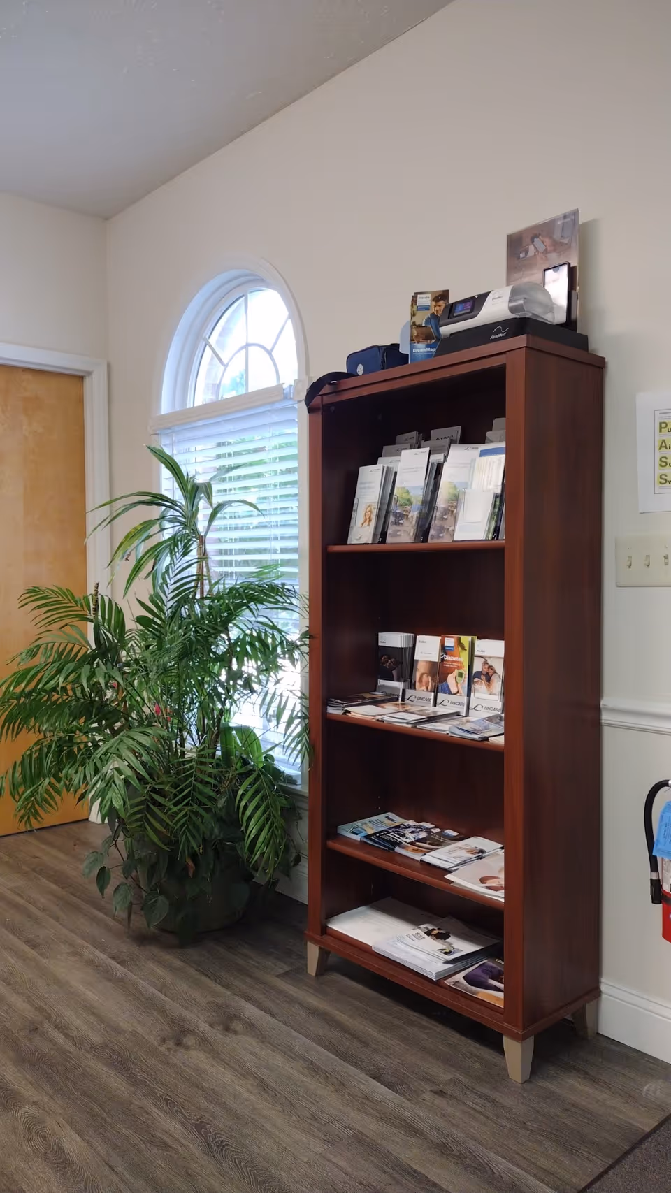 A wooden magazine shelf beside an arched window with a large plant in a bright interior.