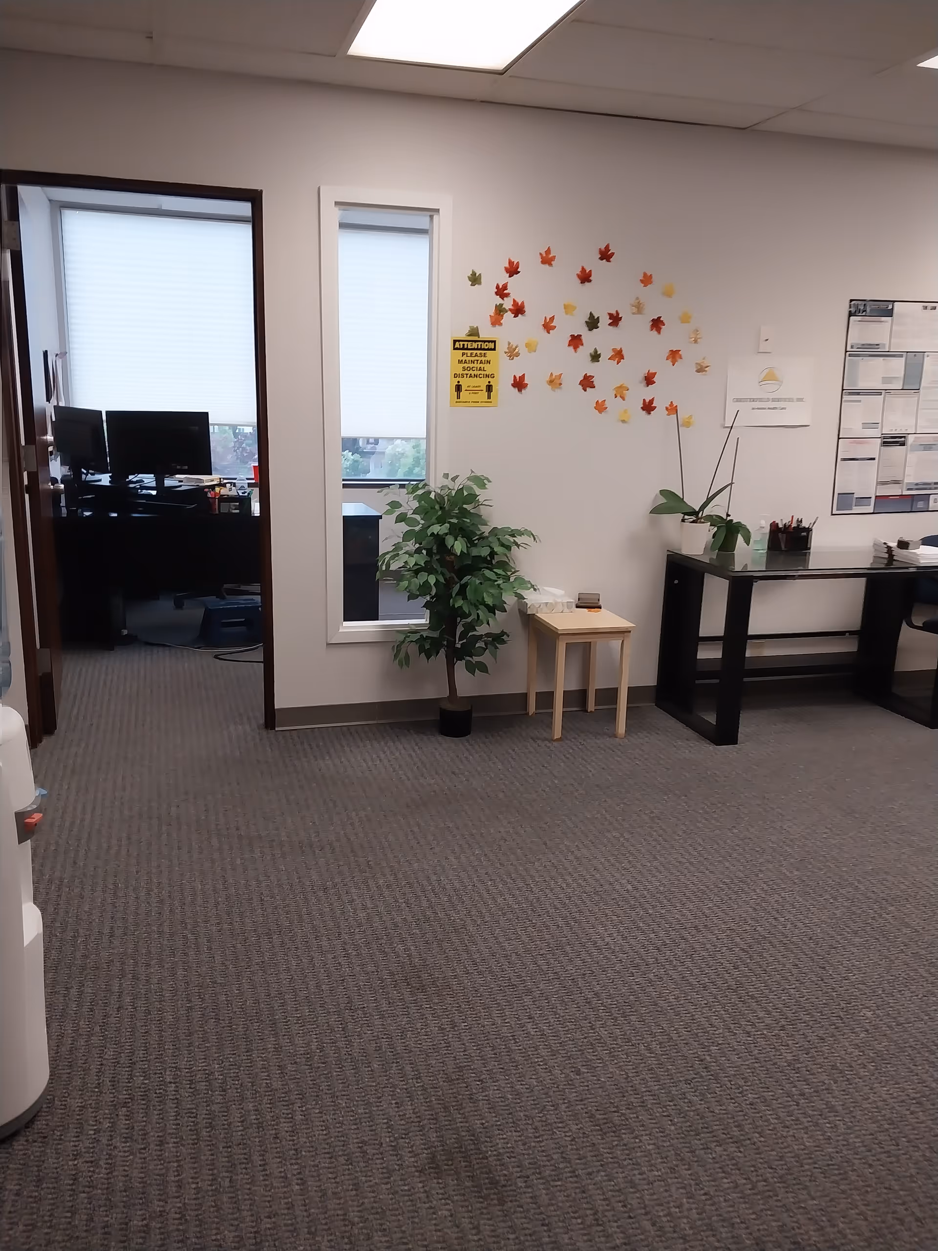 Office-like reception area with carpet, plants, wall leaf decor, and a desk near a doorway.