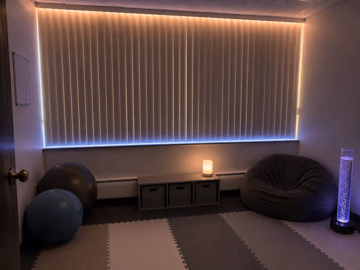 Dimly lit therapy room with vertical blinds, exercise balls, a lava lamp, and cubby storage.