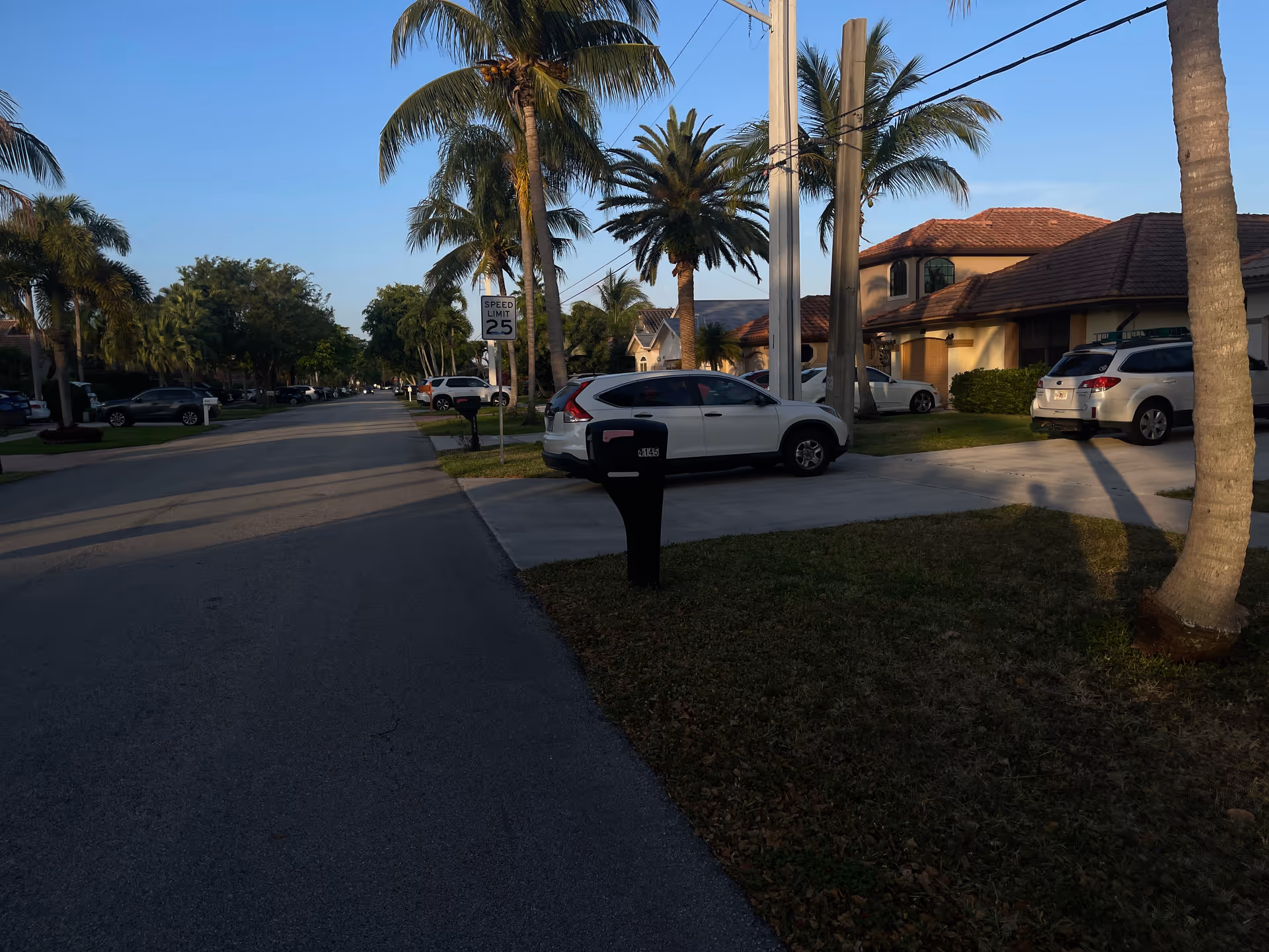 Palm-lined suburban street with parked cars and single-story houses under a clear sky.