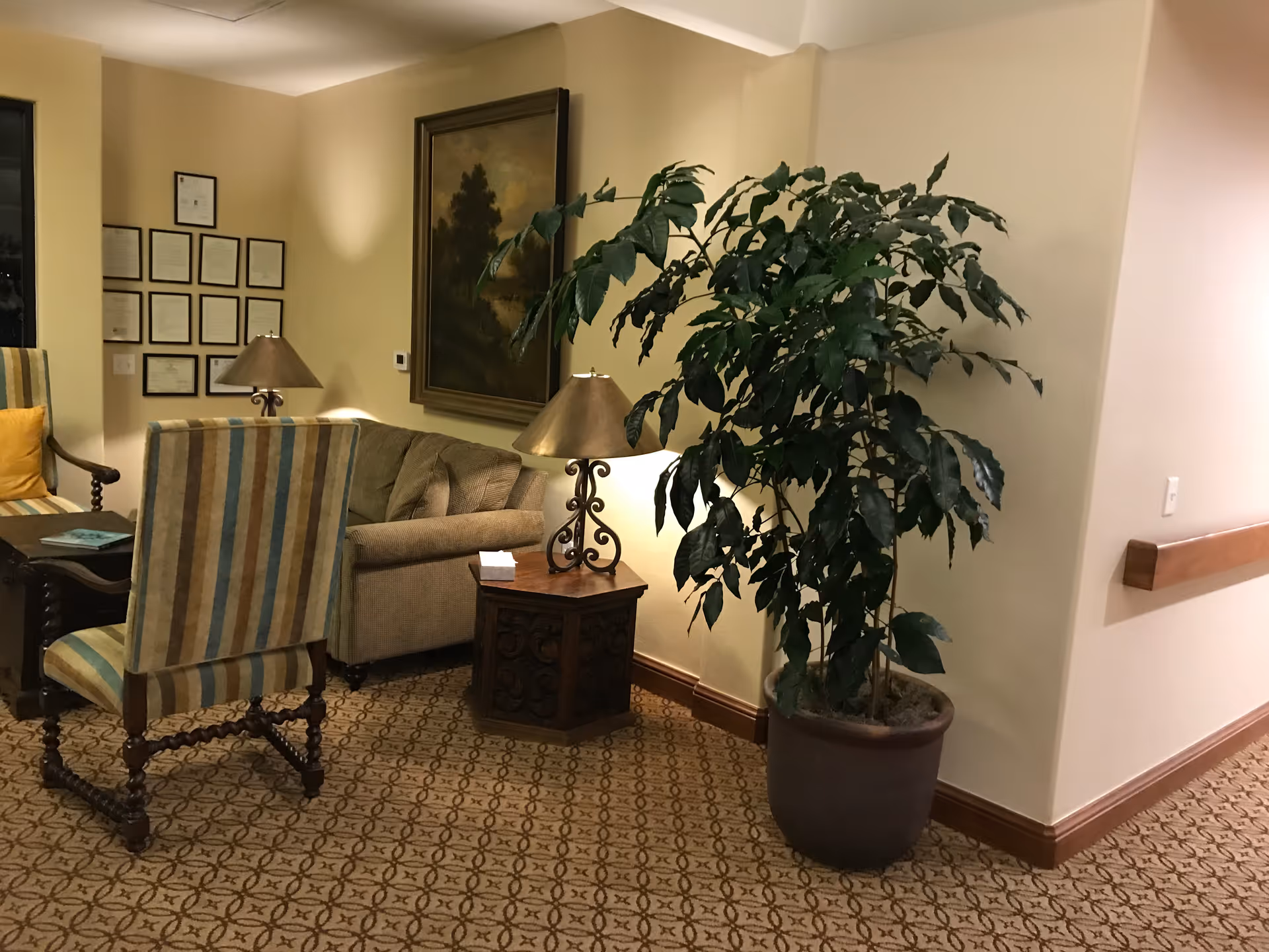 Cozy lounge area with striped chairs, a sofa, lamps, artwork, and a large potted plant.