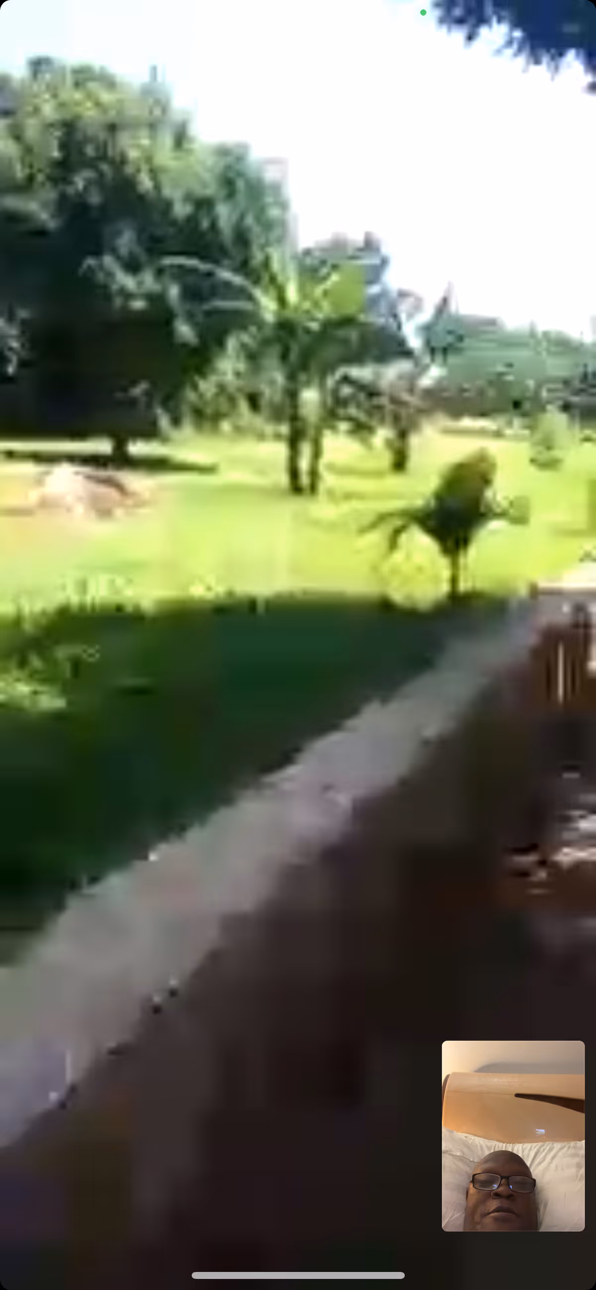 Sunlit grassy outdoor area with trees and a walking path beside a building.