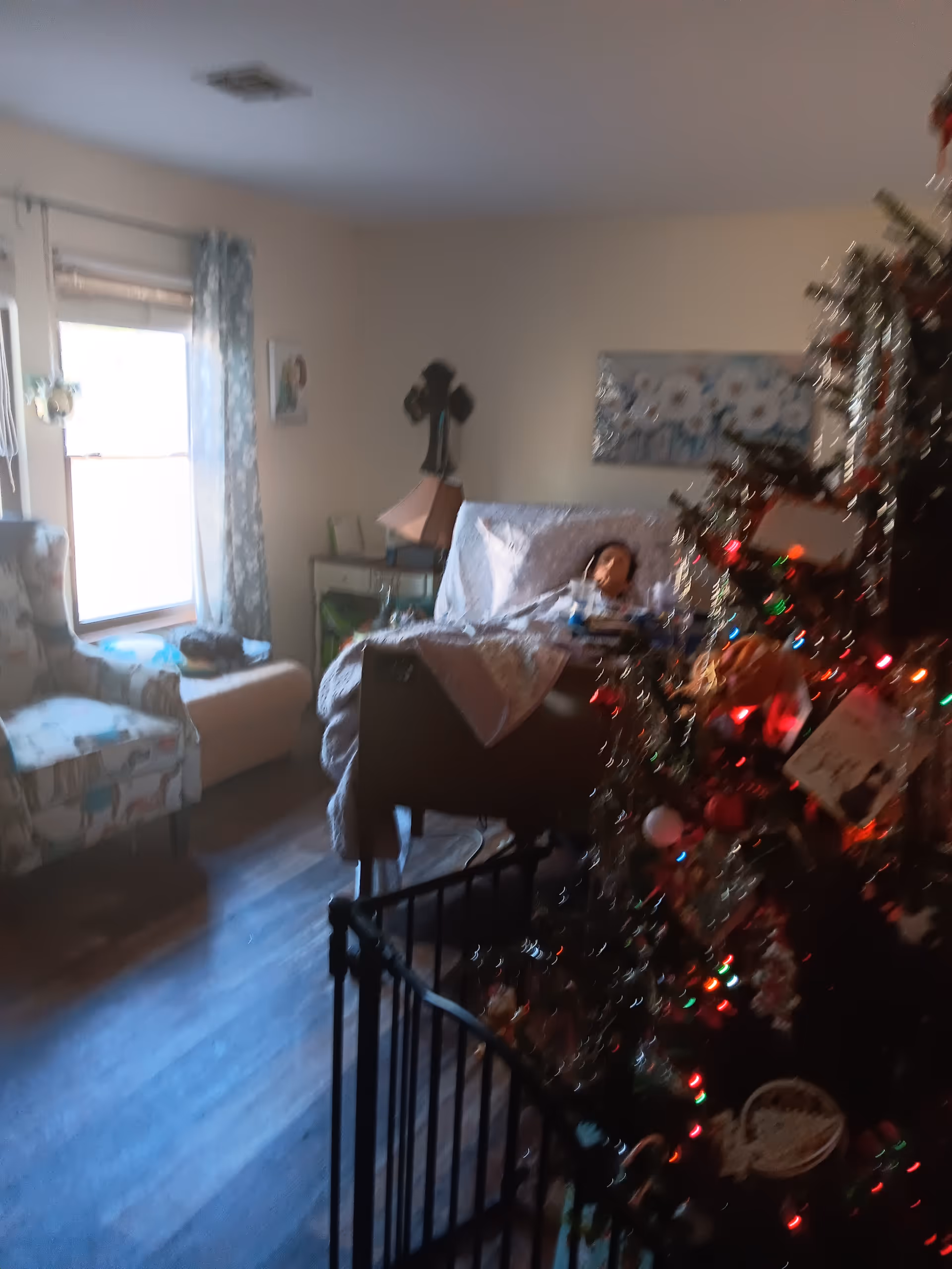 A cozy hospice bedroom with a Christmas tree, a patient in bed, and soft natural light.