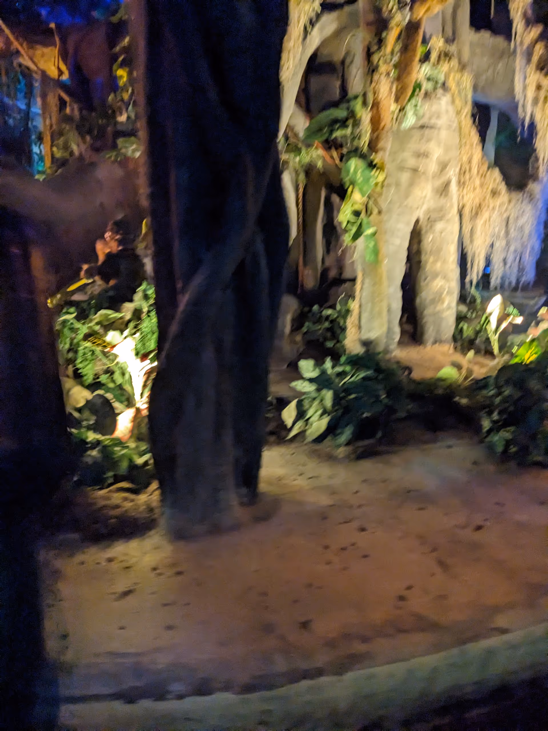 Indoor exhibit area with large rocks, tropical plants, and sandy floor.