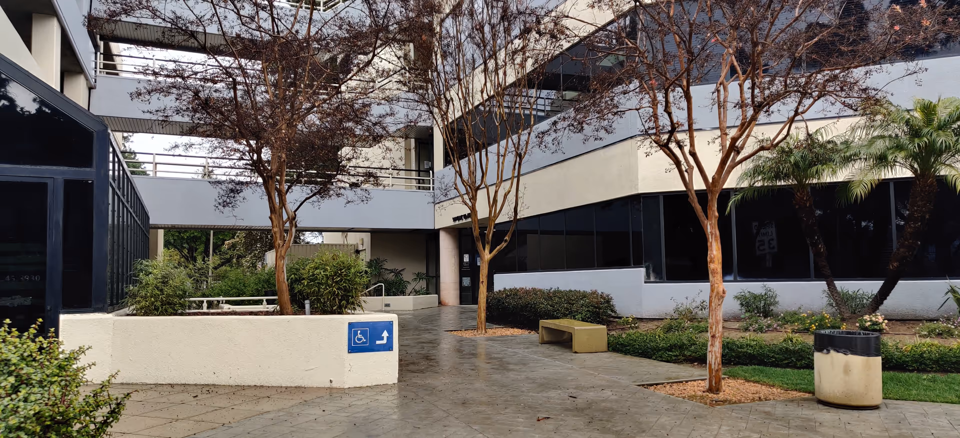 Outdoor courtyard of a modern building with trees, planters, and benches.