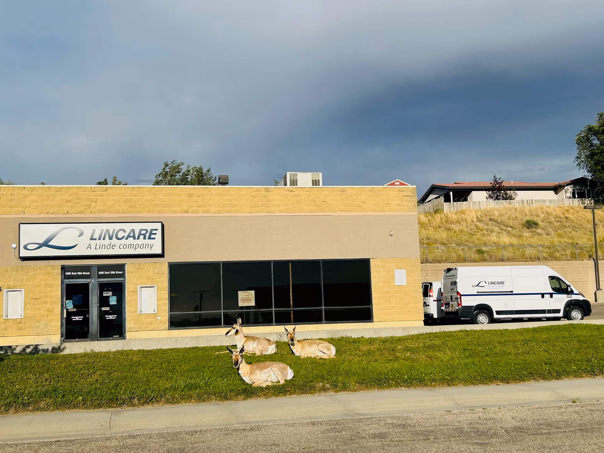 Lincare storefront with beige brick exterior, logo sign, van, and deer on the lawn.