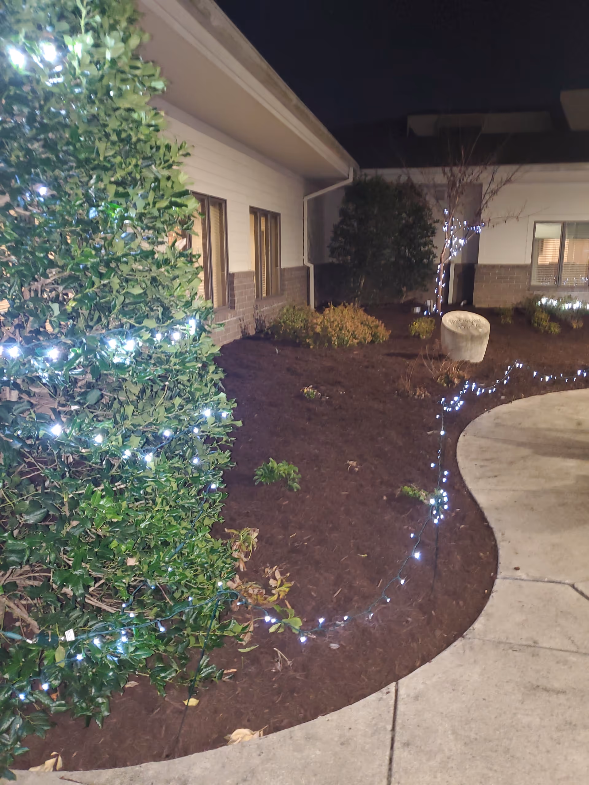 Night exterior of a building with landscaped bushes and string lights along a curved walkway.