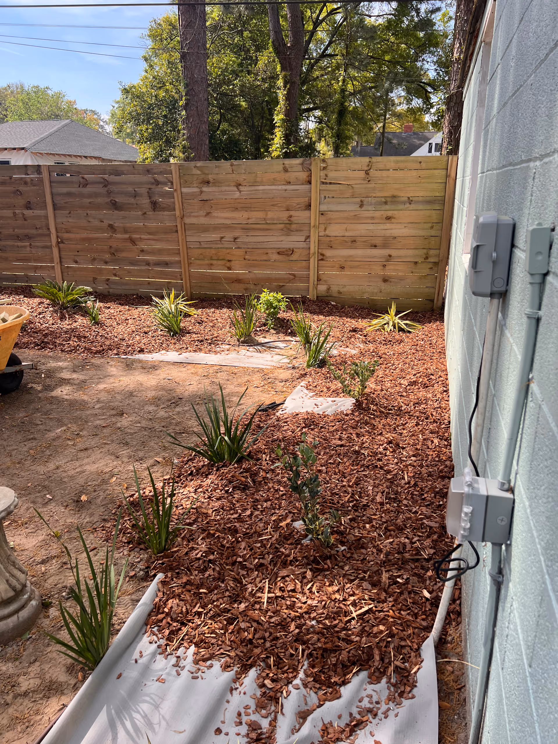 Backyard with mulch beds, small plants, a wooden fence, and the building's exterior wall.