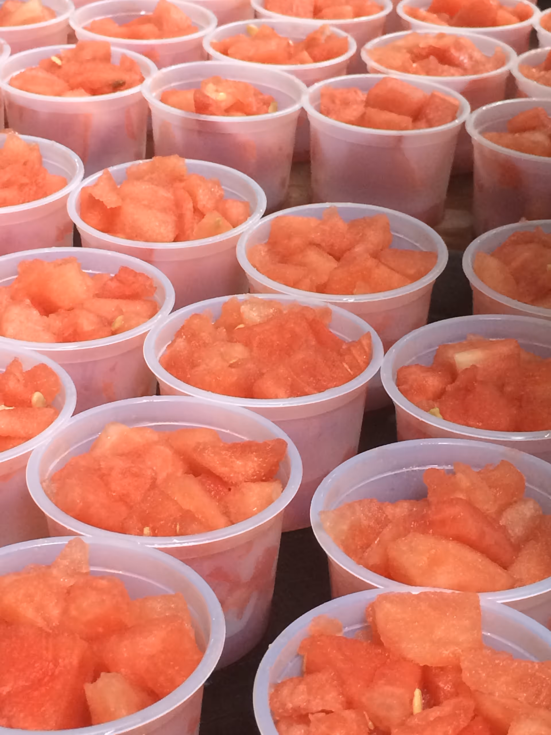Rows of plastic cups filled with watermelon chunks ready for serving.