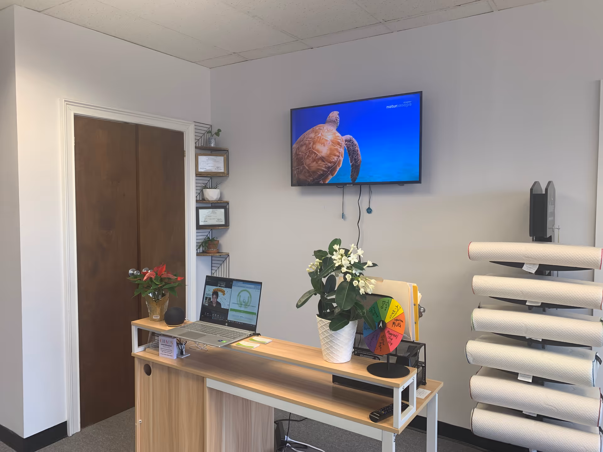 Clinic reception desk with laptop, plant, a colorful wheel, and a mounted wall TV.