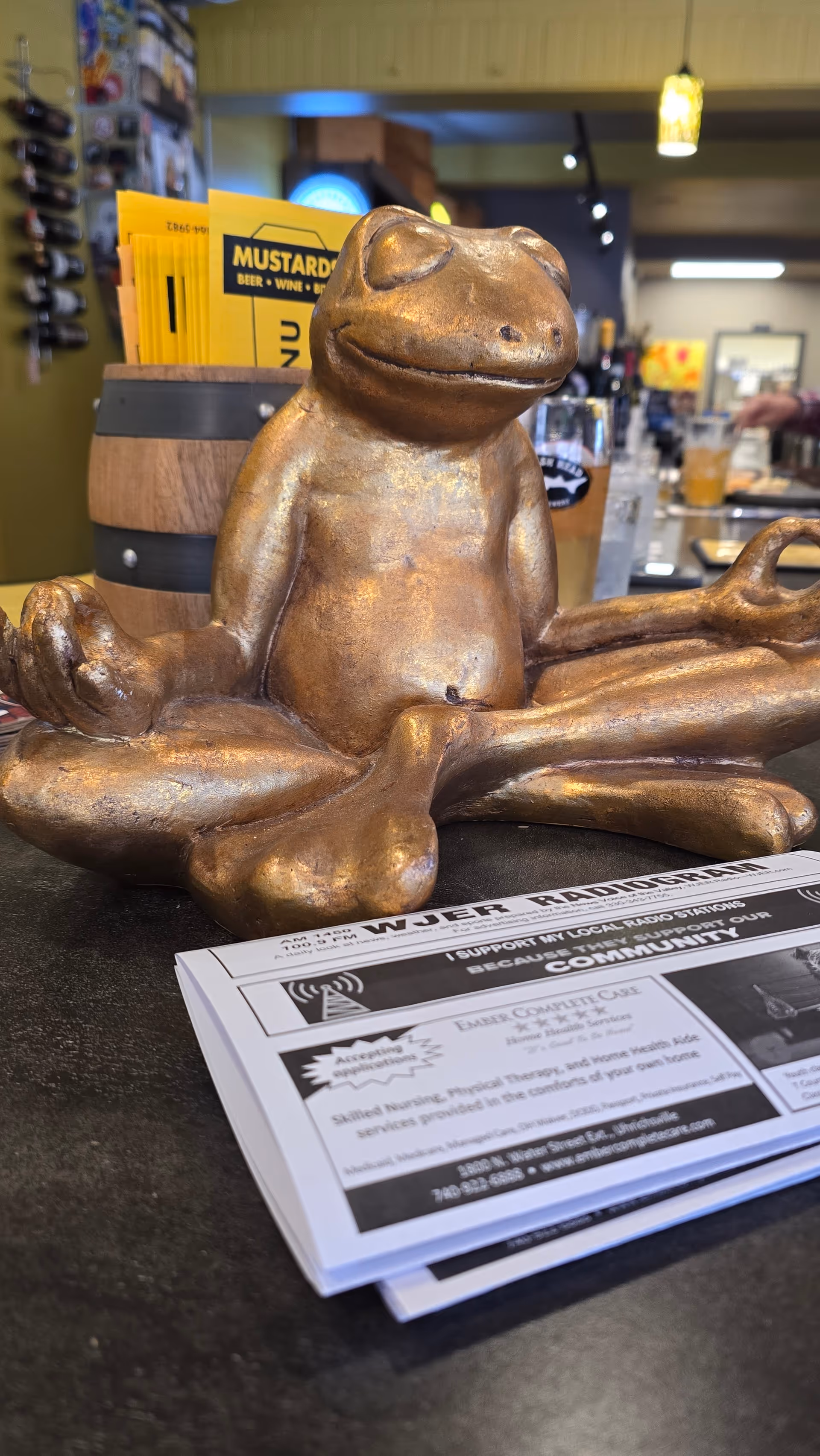 Bronze frog statue on a counter inside Discount Drug Mart with yellow pamphlets nearby.