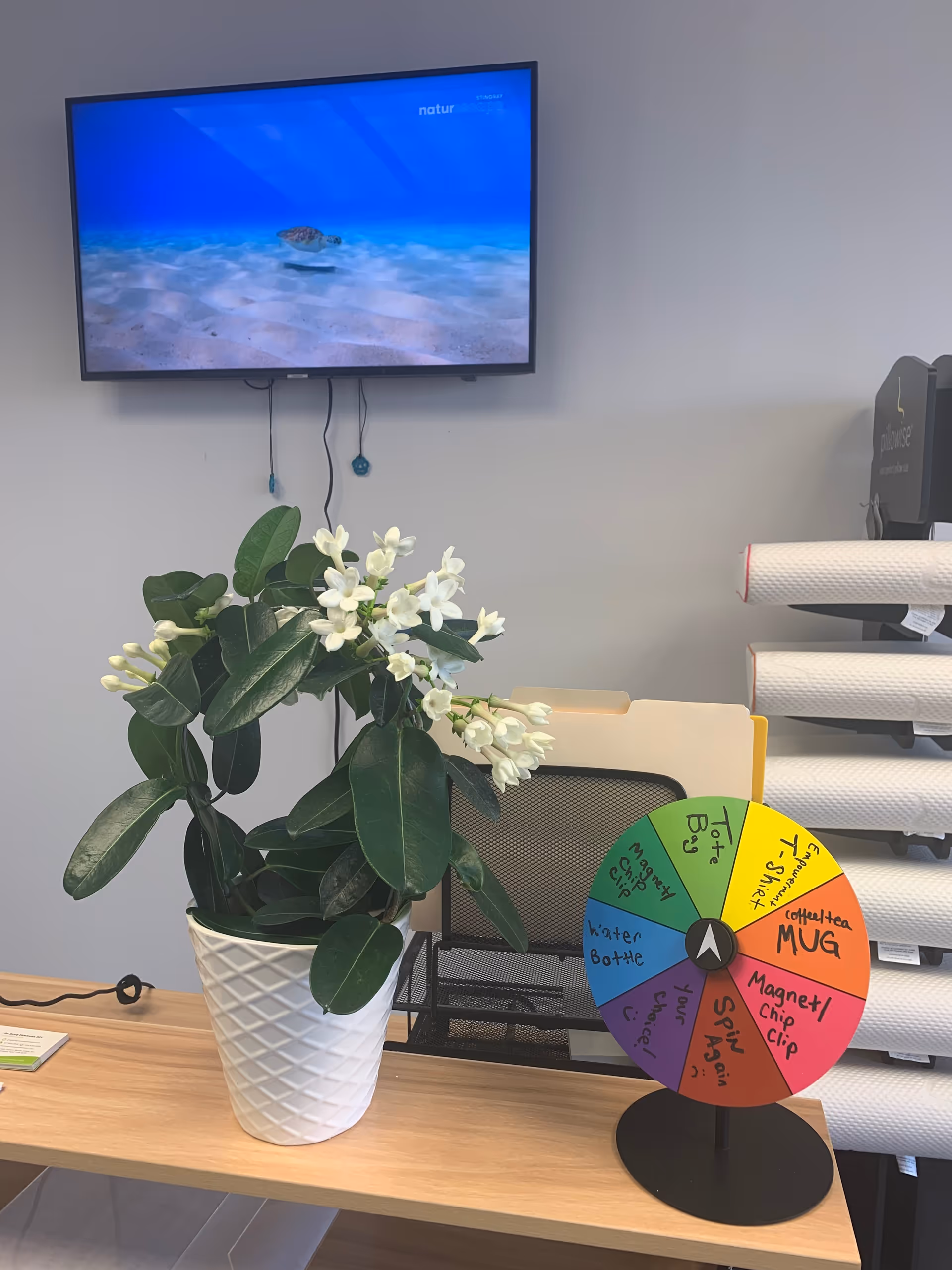 Interior office area with a potted plant, colorful spin wheel, and wall-mounted TV.