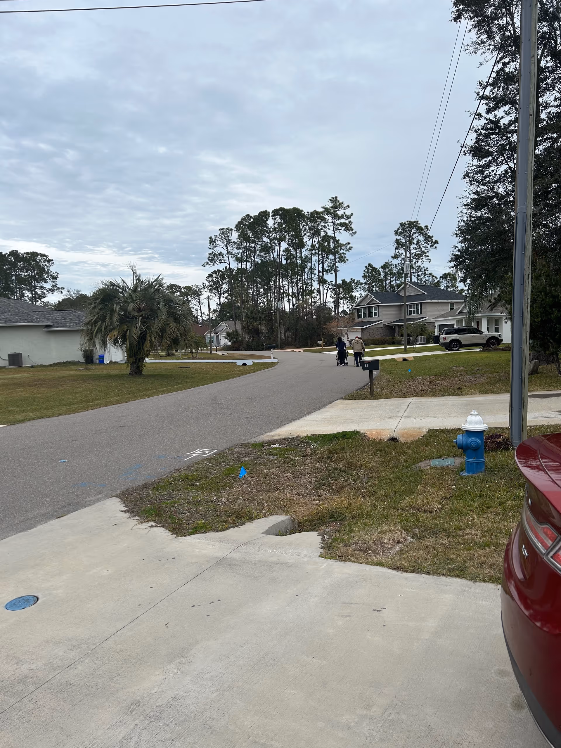 Suburban residential street with houses, trees, a blue fire hydrant, and two people near center.