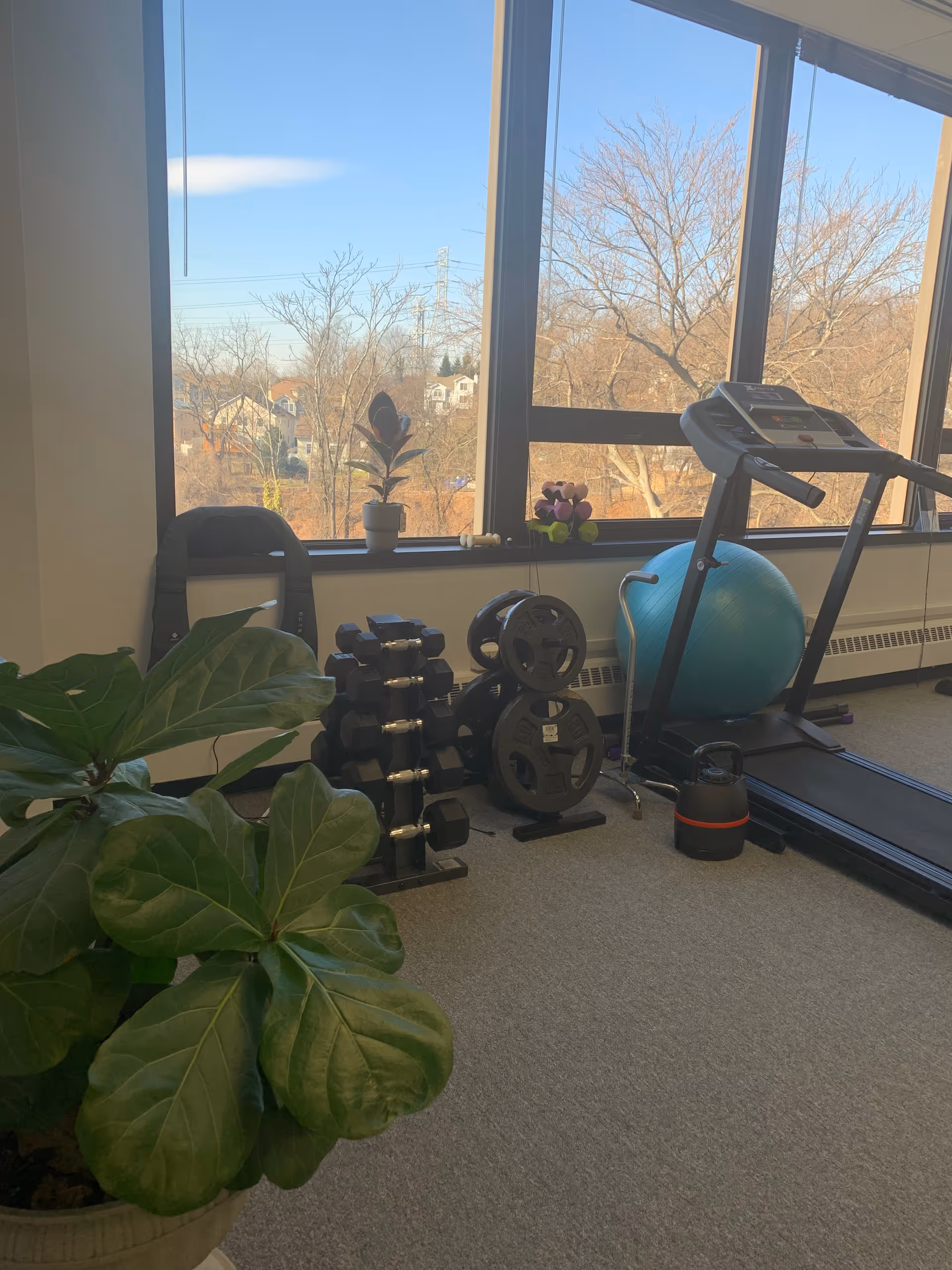Indoor fitness space with dumbbells, plates, treadmill, exercise ball, and a potted plant.