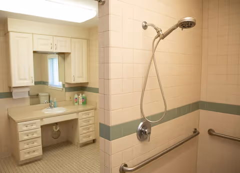 Accessible bathroom with sink vanity, mirror, handheld shower, and grab bars.