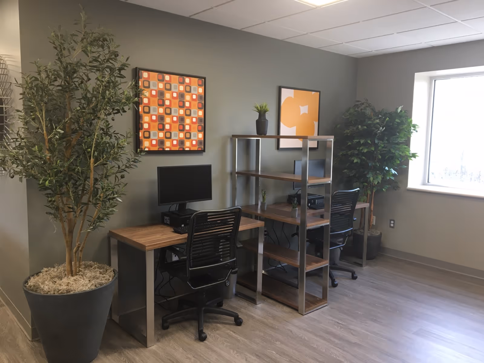 Office-like study area with two desks, computers, a shelving unit, plants, and a window.