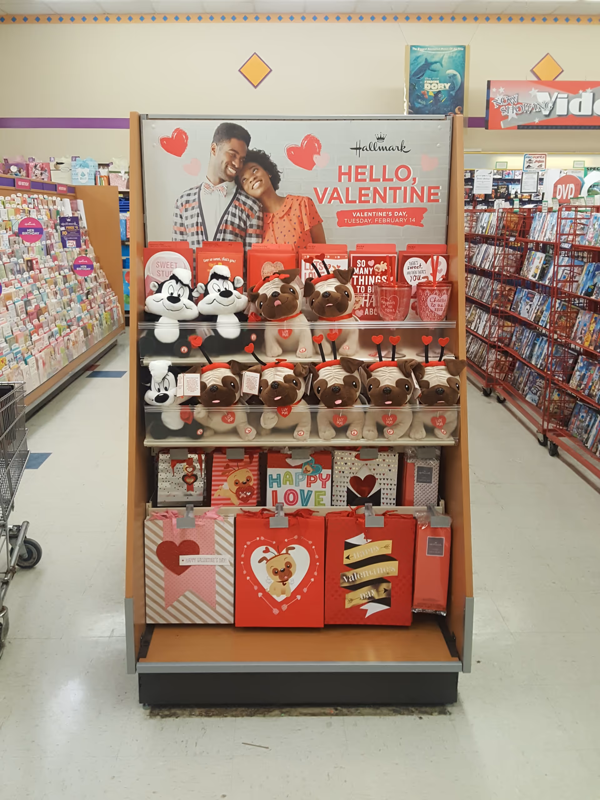 Valentine's Day display of plush bears and gift bags inside Discount Drug Mart store.