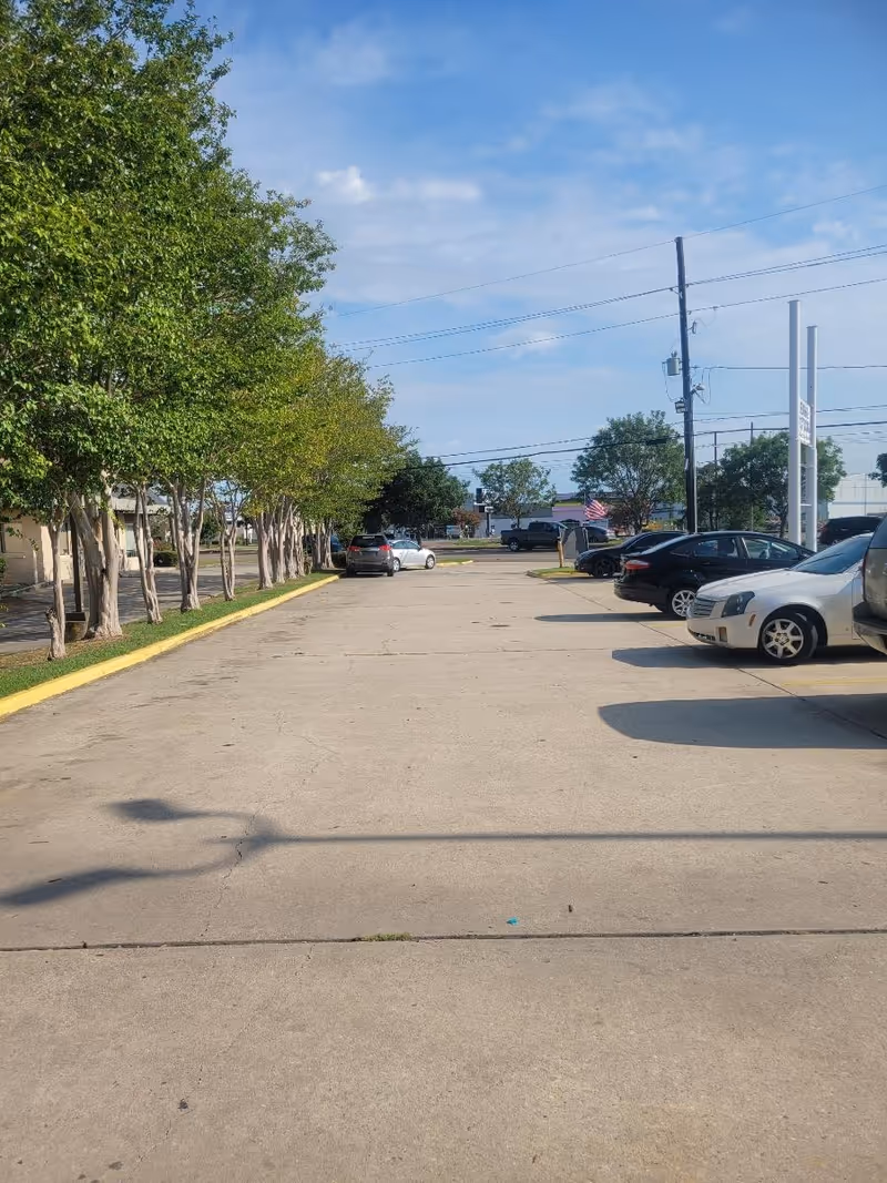 Parking lot outside a facility with trees on the left and cars on the right.