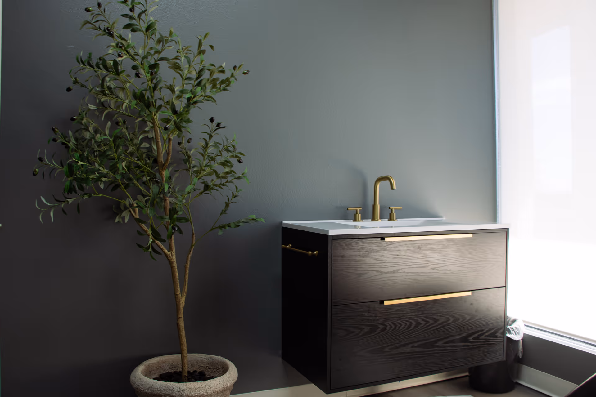 Modern bathroom vanity with a dark wood cabinet, brass faucet, and potted plant.
