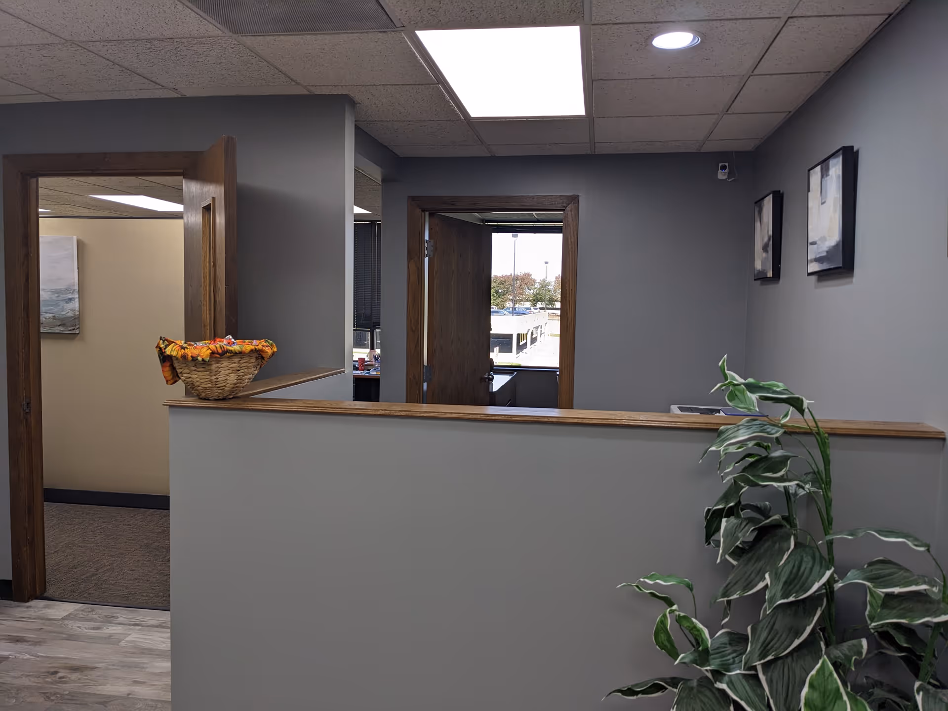 Interior reception area with a half-wall counter, potted plant, and doorway openings.