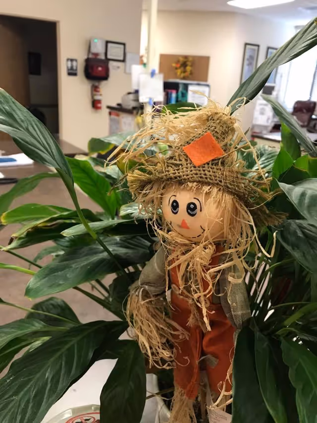 Indoor reception area in a senior living facility with potted plants and a straw scarecrow decoration.