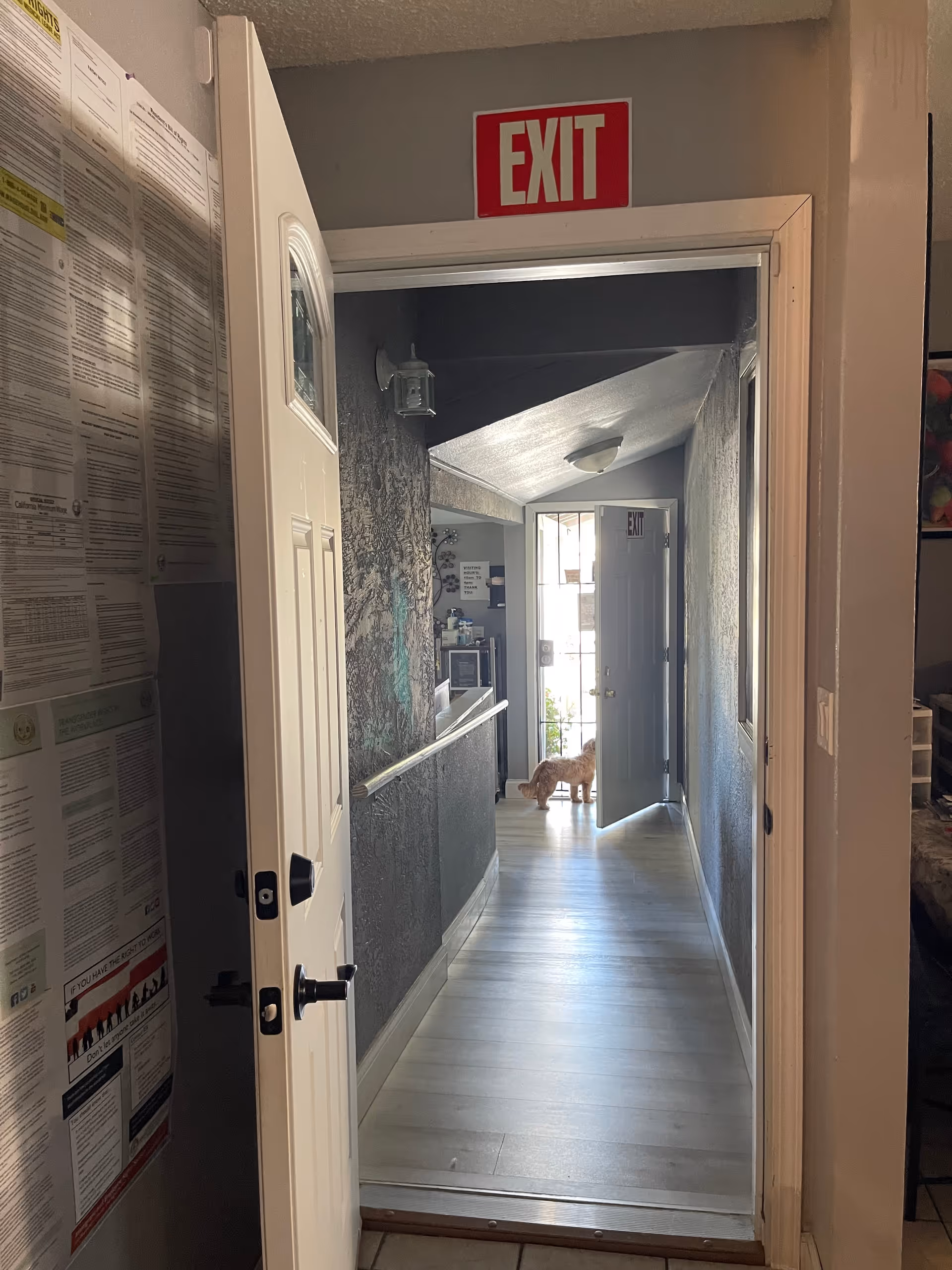 Indoor hallway at Solano Quality Home Care with EXIT sign and a dog near far door.