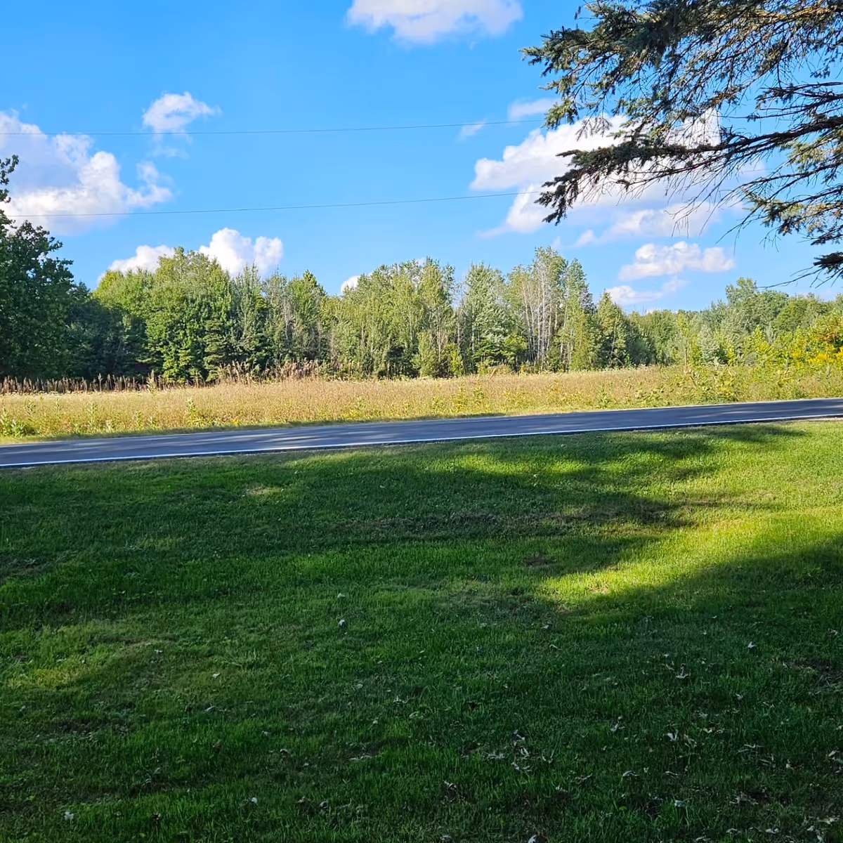 Sunny outdoor scene with grass, road, and trees under a blue sky.