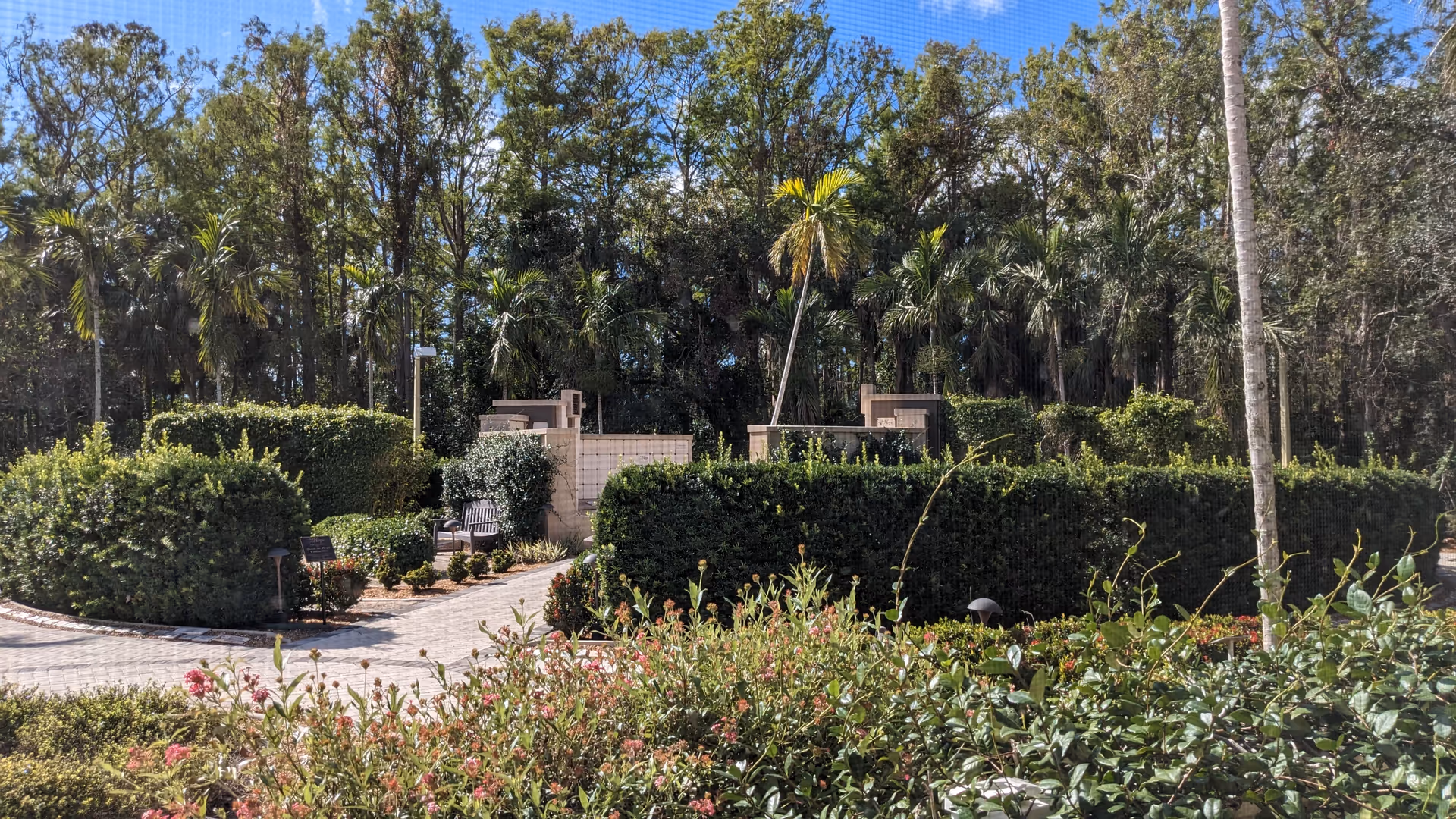 Outdoor garden area with benches, hedges, and palm trees along a brick path.