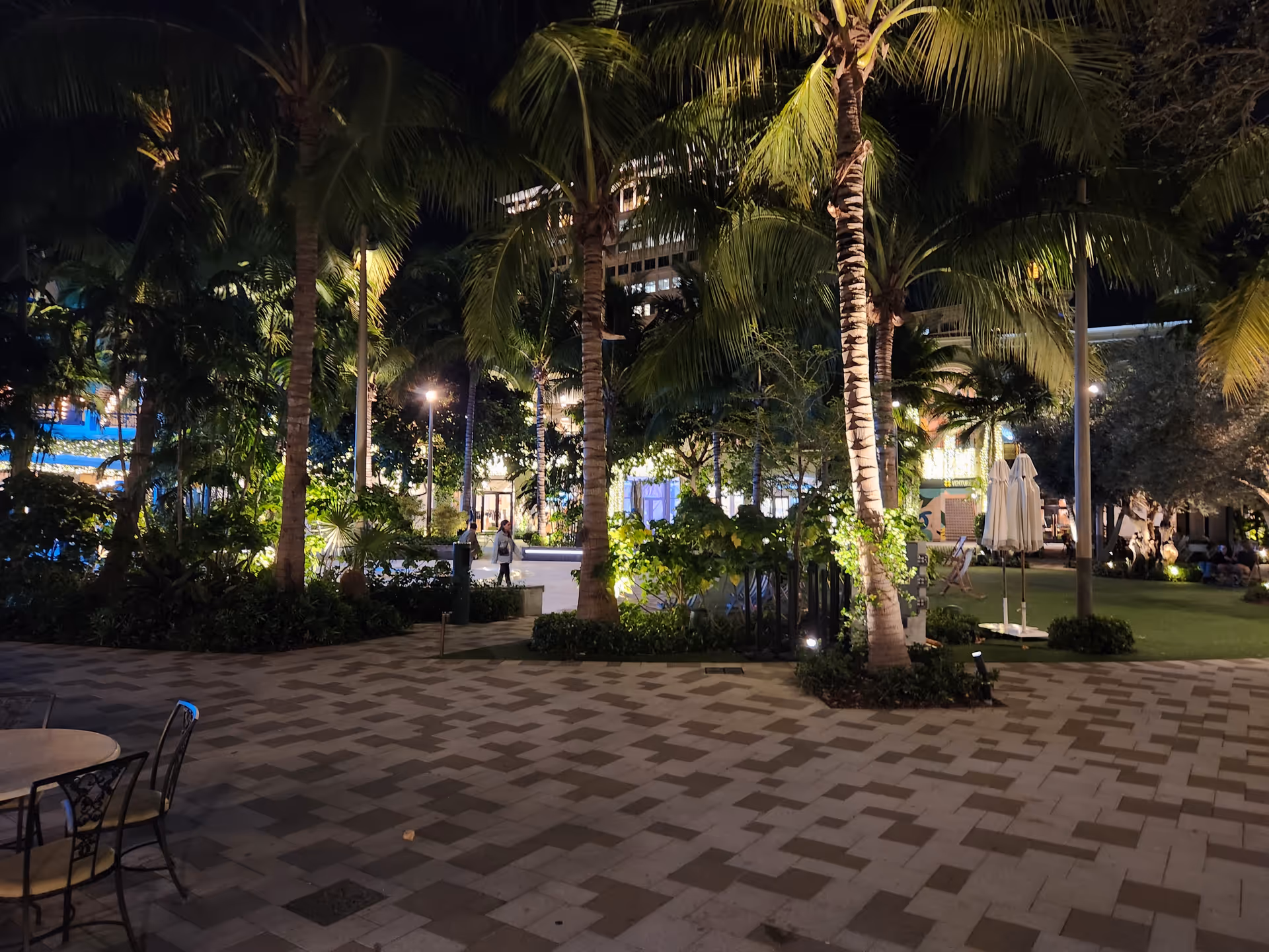 Outdoor courtyard at a senior facility with palm trees, lights, and seating.