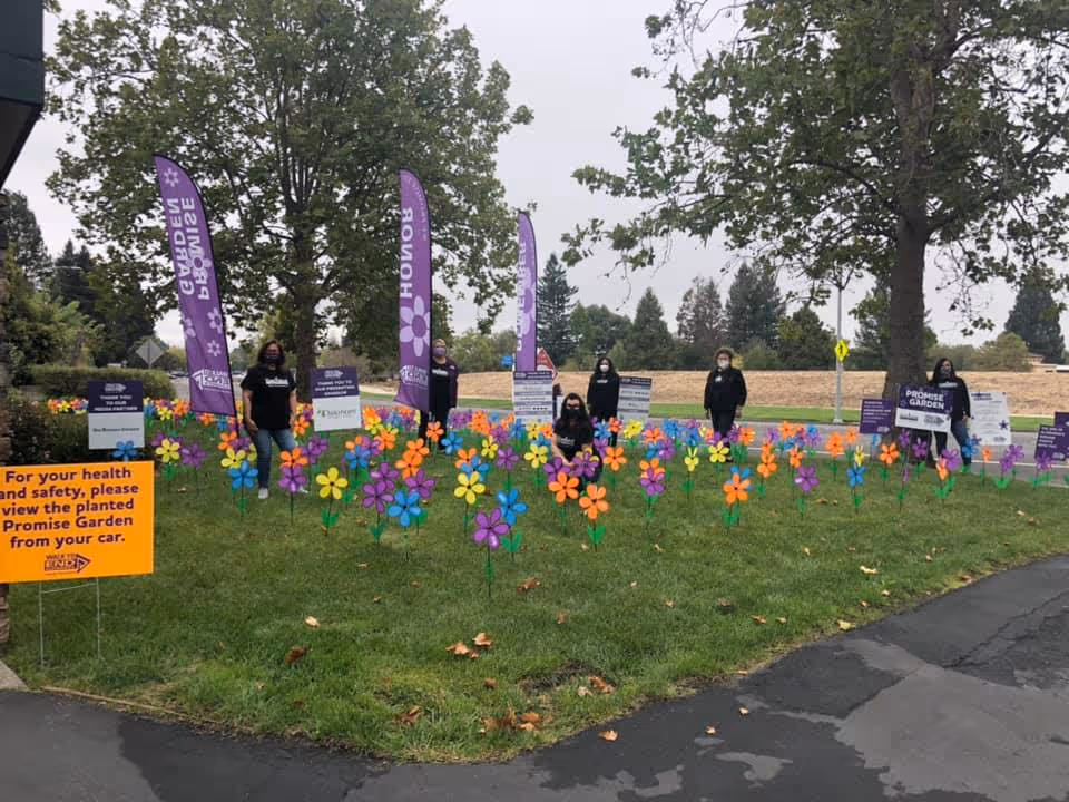 Outdoor lawn with colorful pinwheels, purple banners, and people posing near signs.