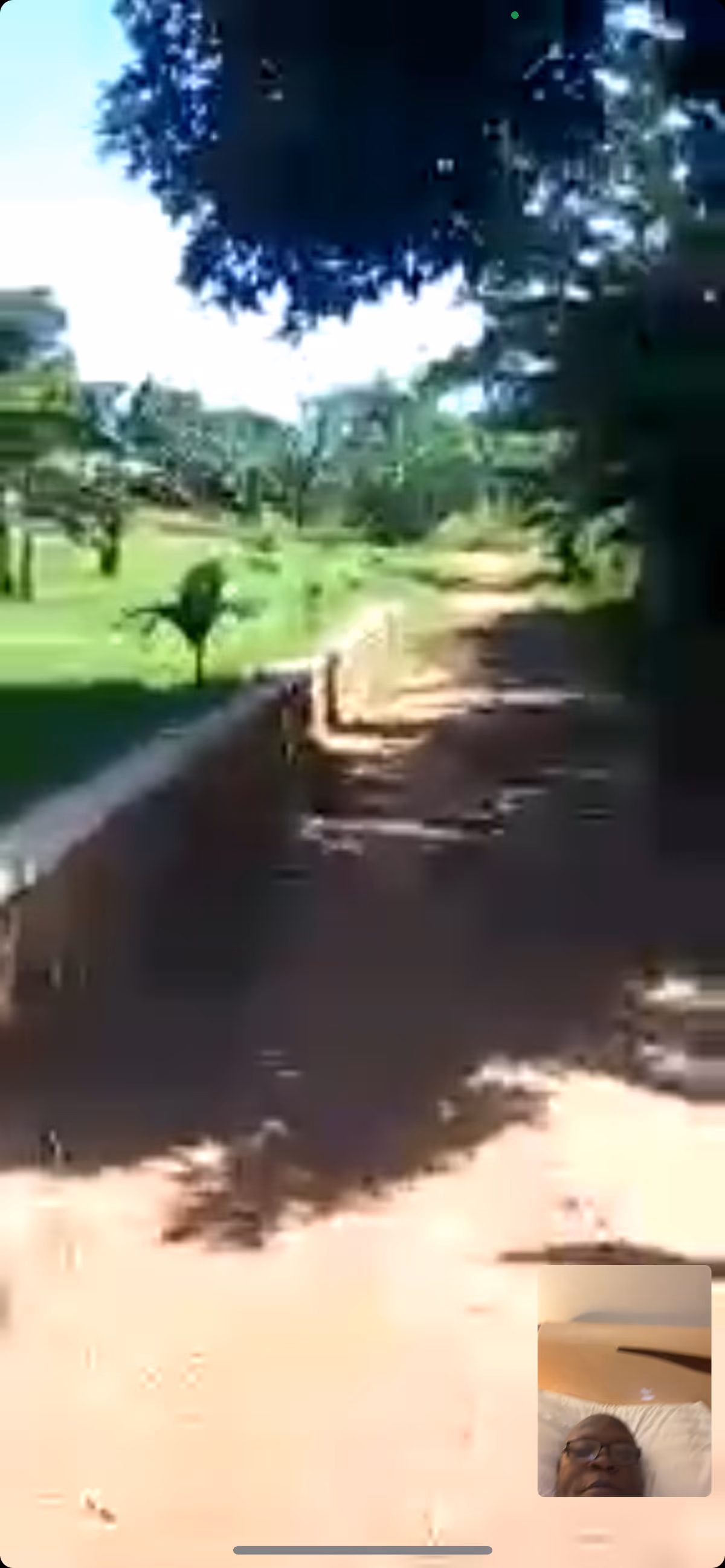 Sunny outdoor path with trees and greenery at a senior living facility.